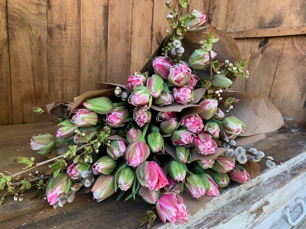 Tulips- Seasonal Fresh Cut Flower Bouquets and Arrangements