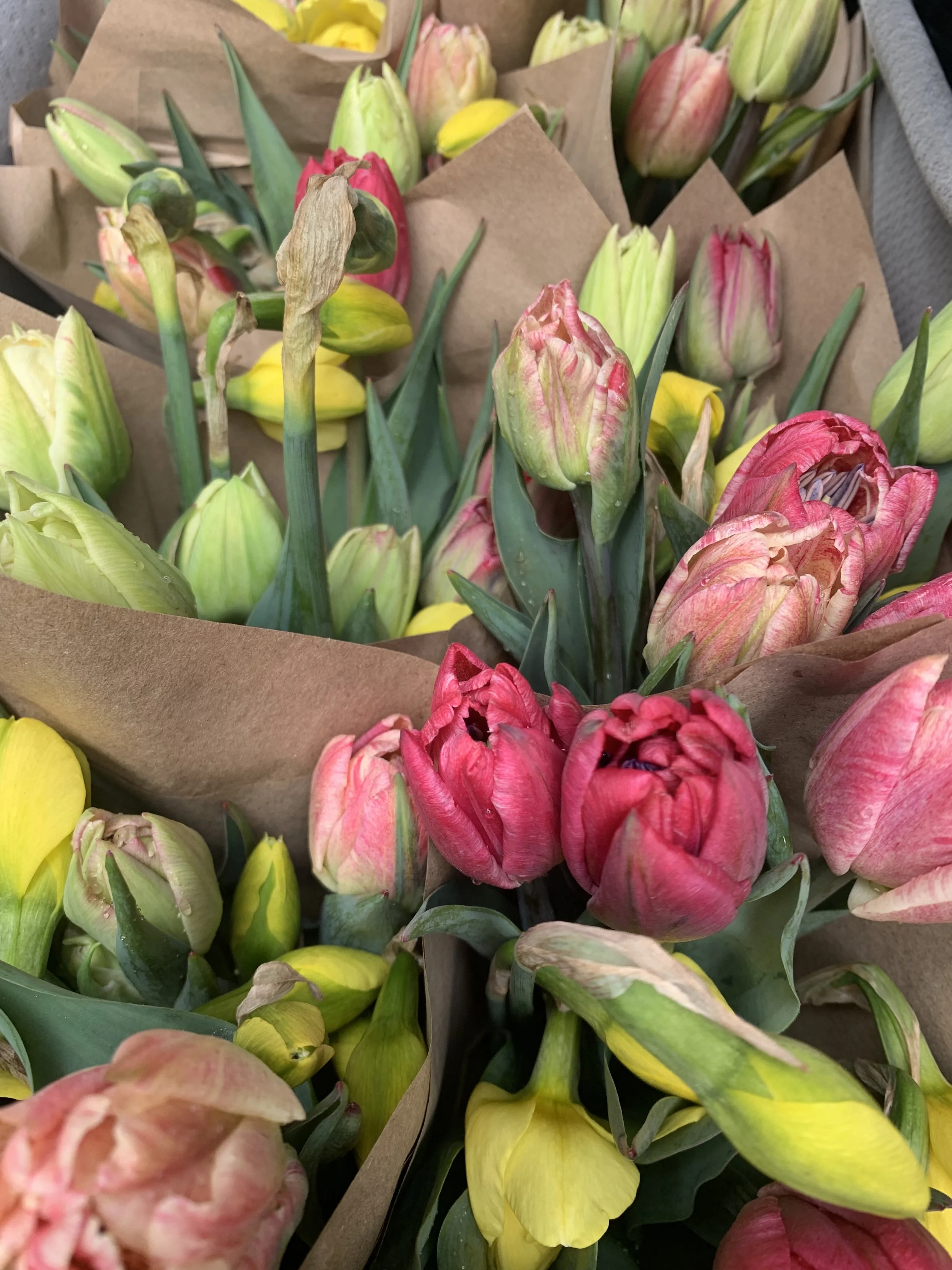 RISE Event Tulip Bouquet — Preorder for April 18 🌷