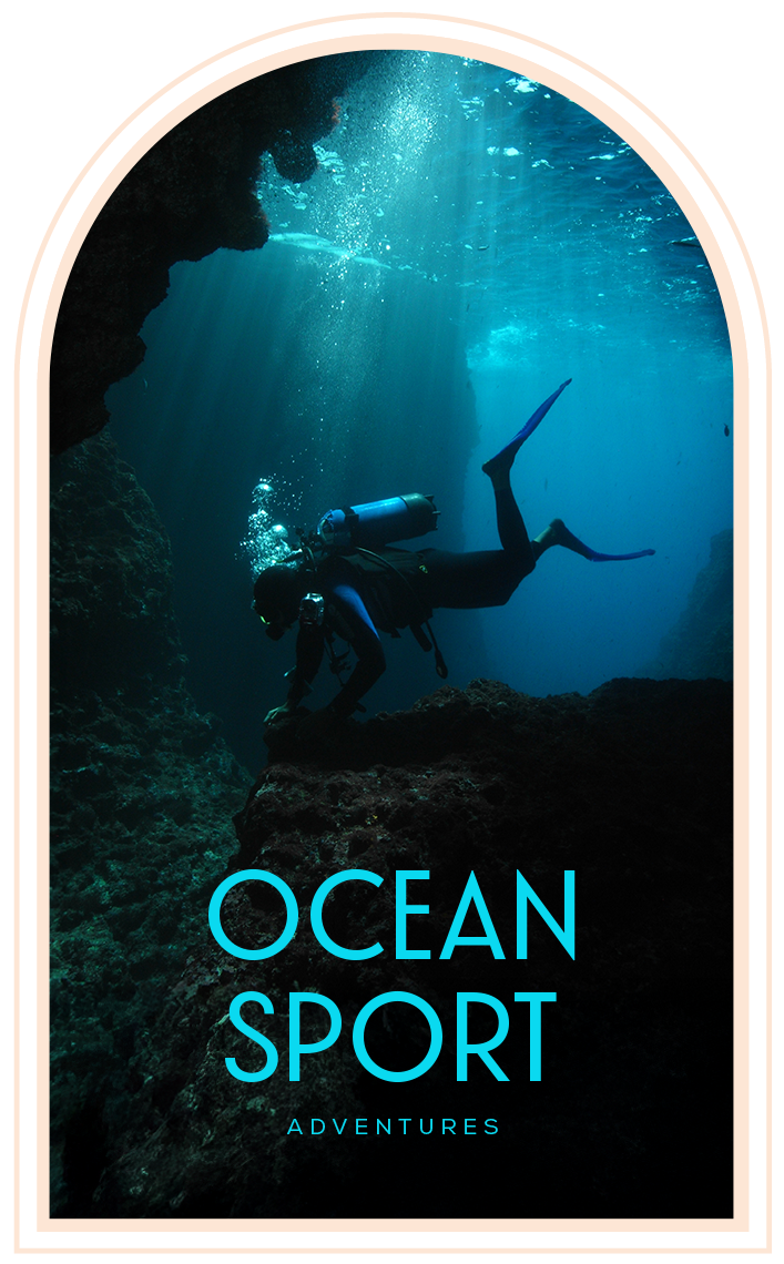 Ocean Sport Adventures