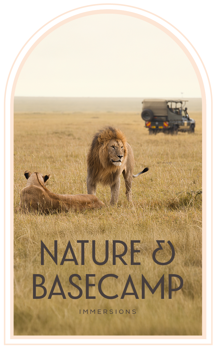 Nature + Basecamp Immersions