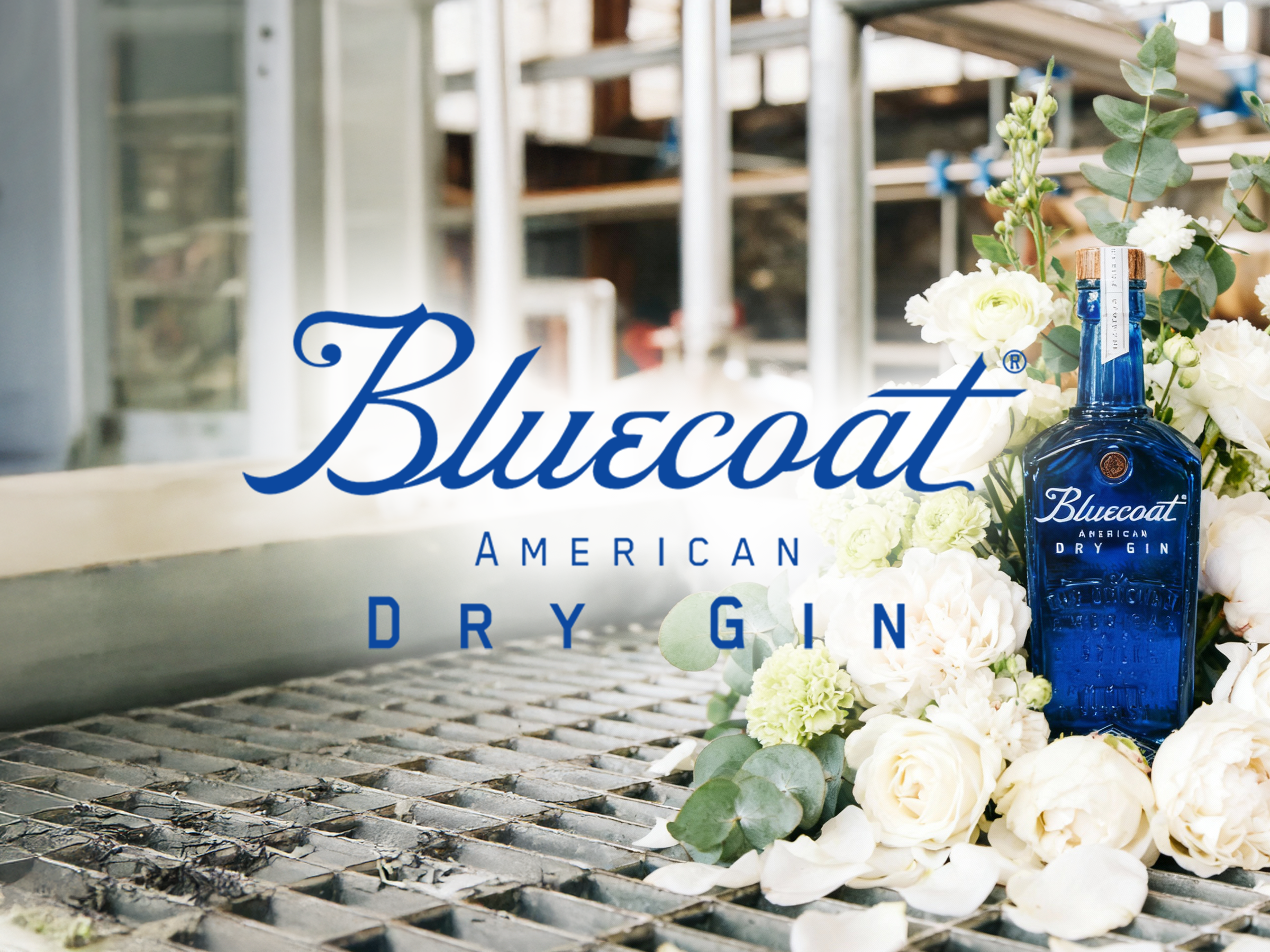 Bluecoat Gin