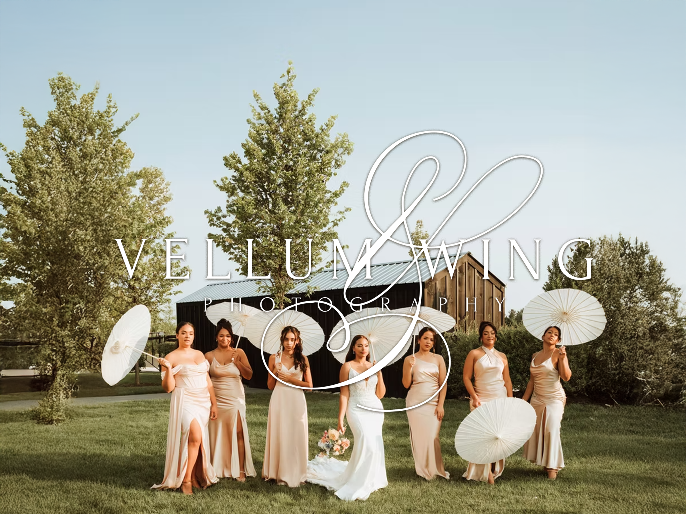 Vellum &amp; Wing Photography