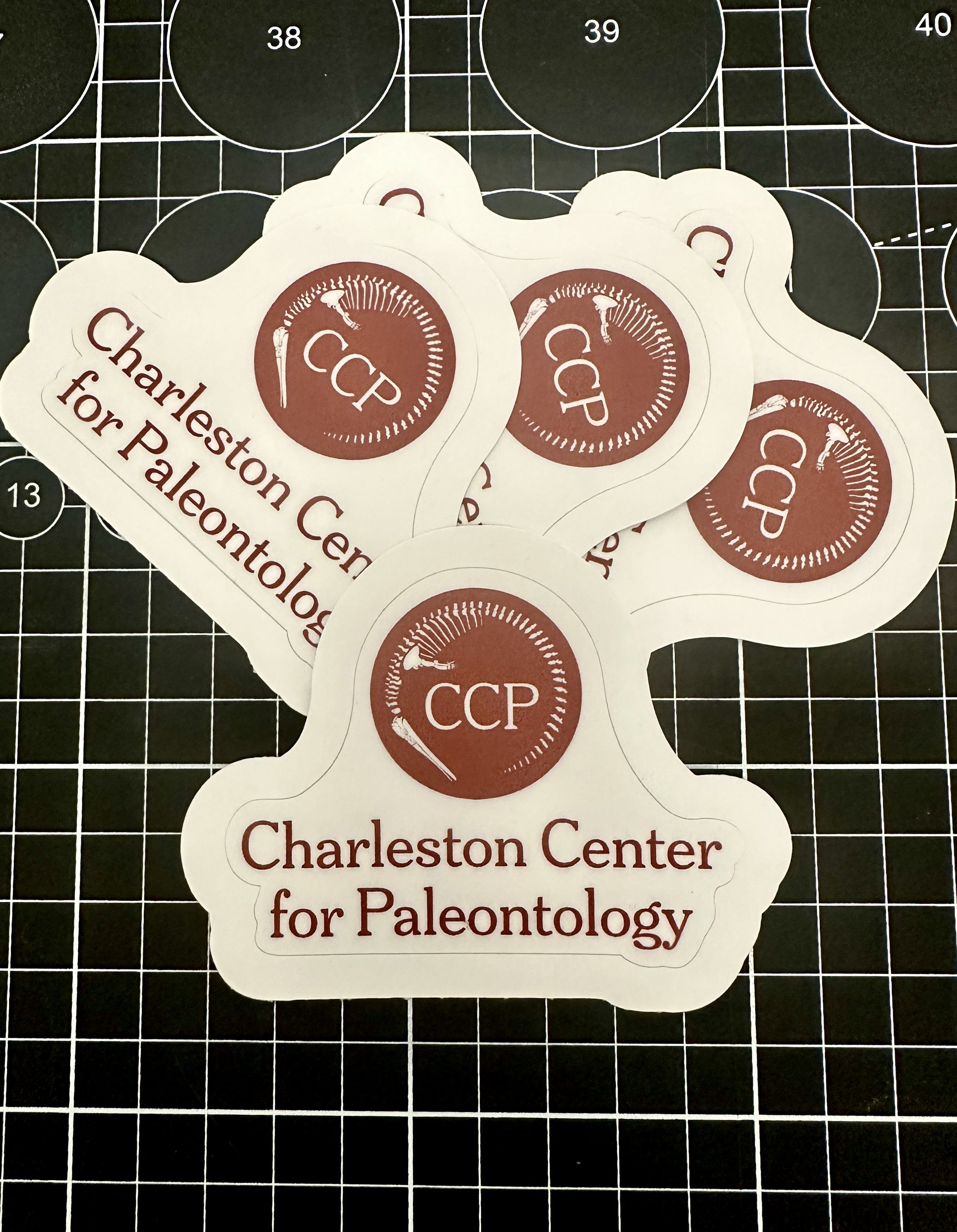 Vinyl Sticker/Decal (CCP)