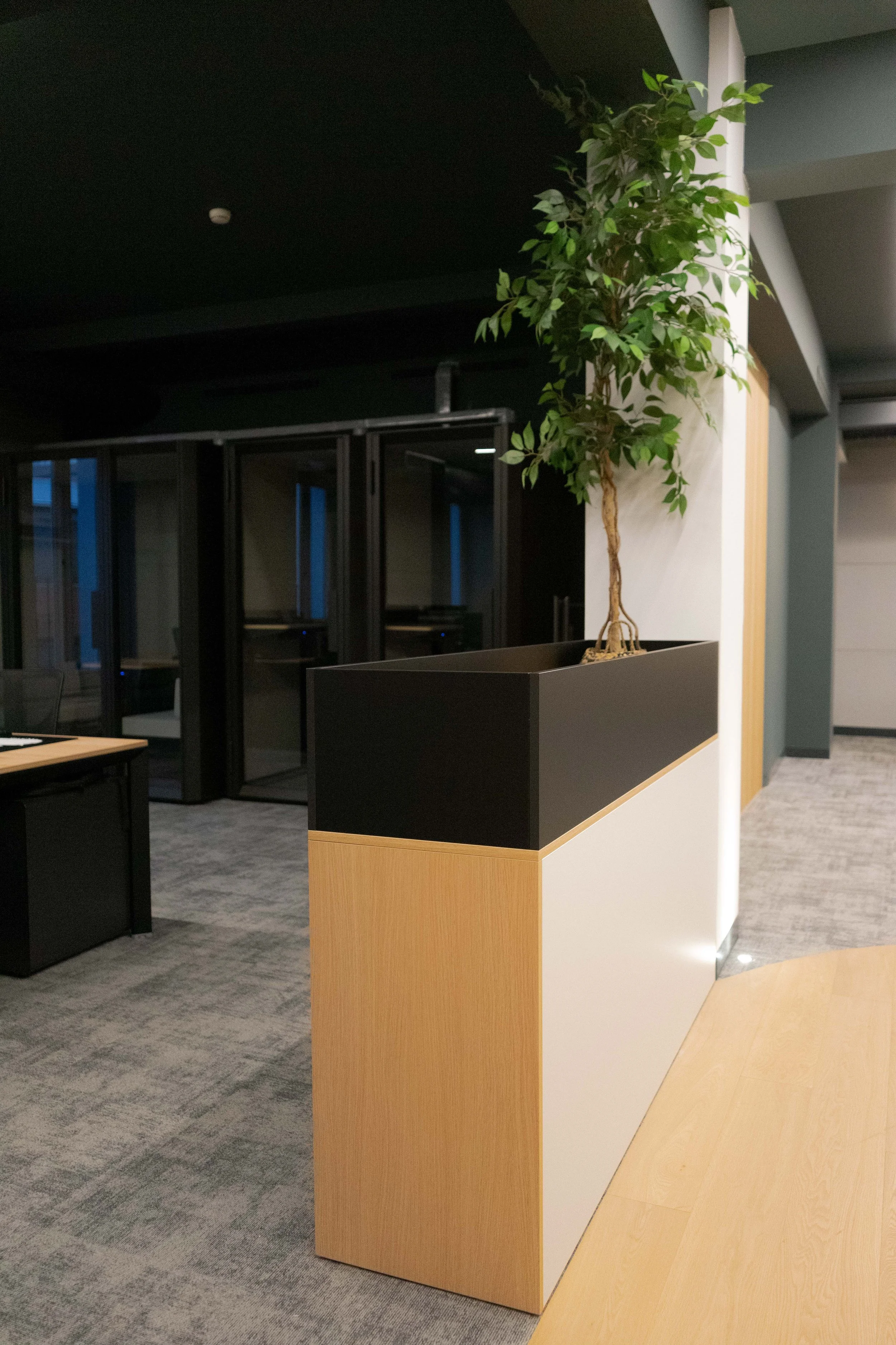 Planta en maceta negra en una oficina moderna, con fondo de paredes oscuras y puertas de vidrio.