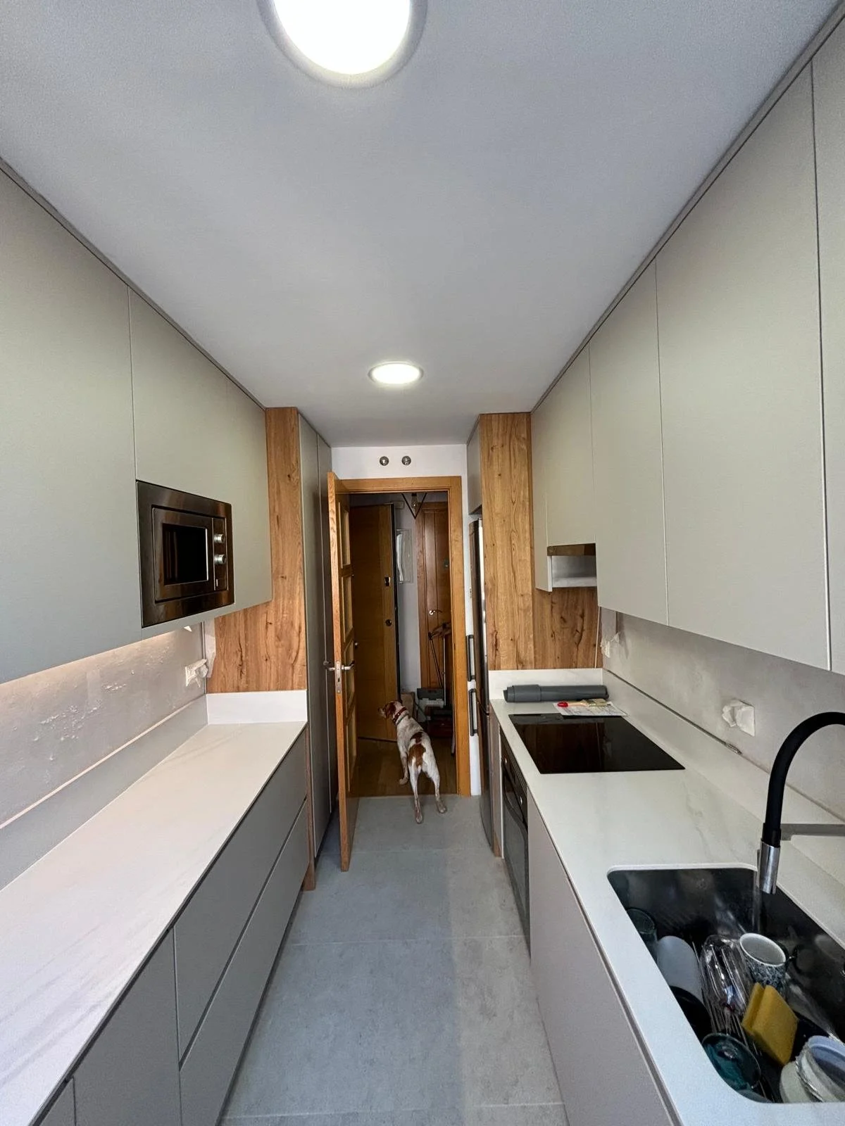 Cocina moderna con gabinetes grises y detalles de madera, lavabo con platos y utensilios, puerta abierta que muestra un perro de raza beagle en el pasillo.