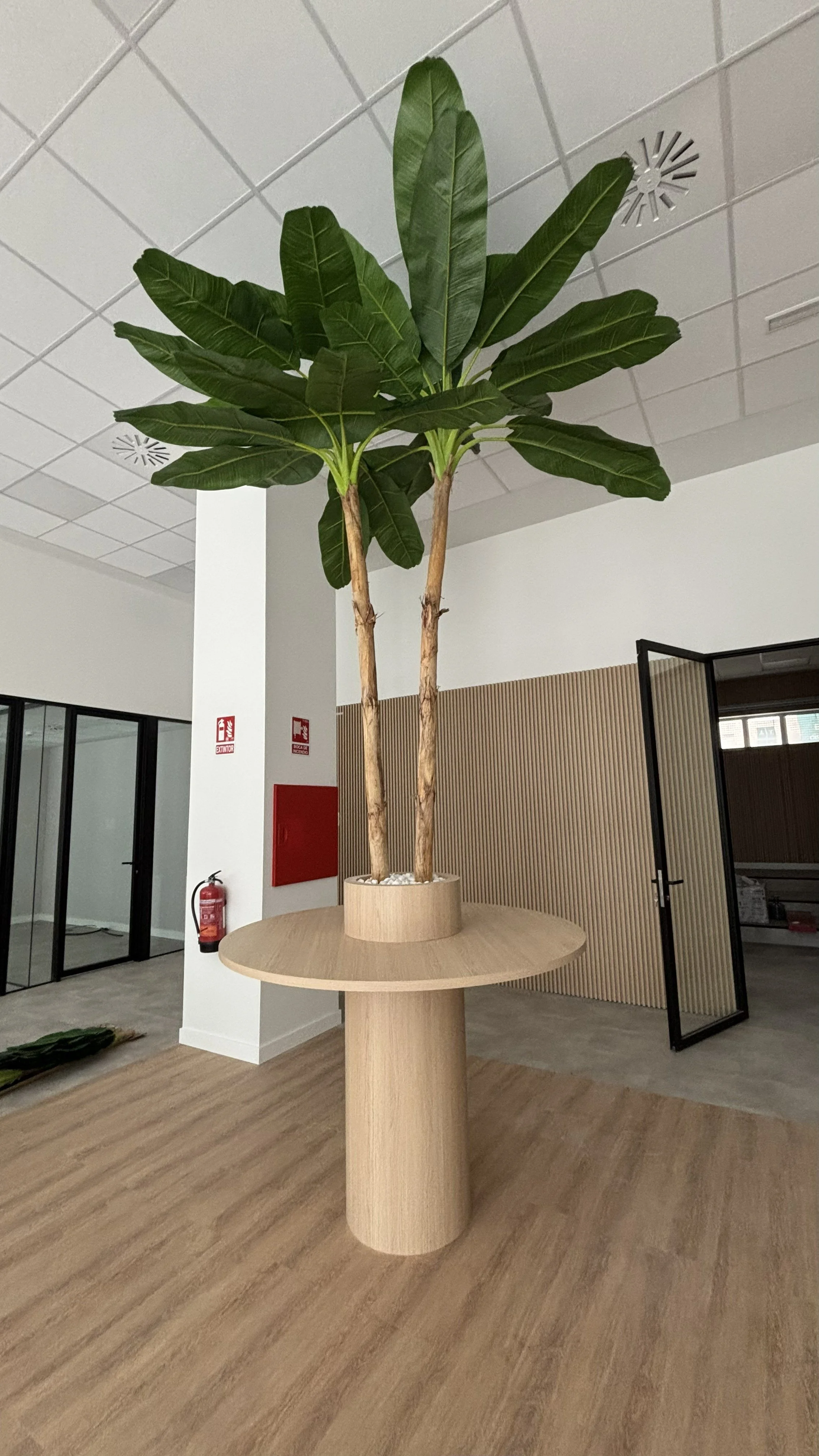 Interior moderno con planta grande en macetero de madera sobre mesa circular también de madera, en espacio de oficina o recepción