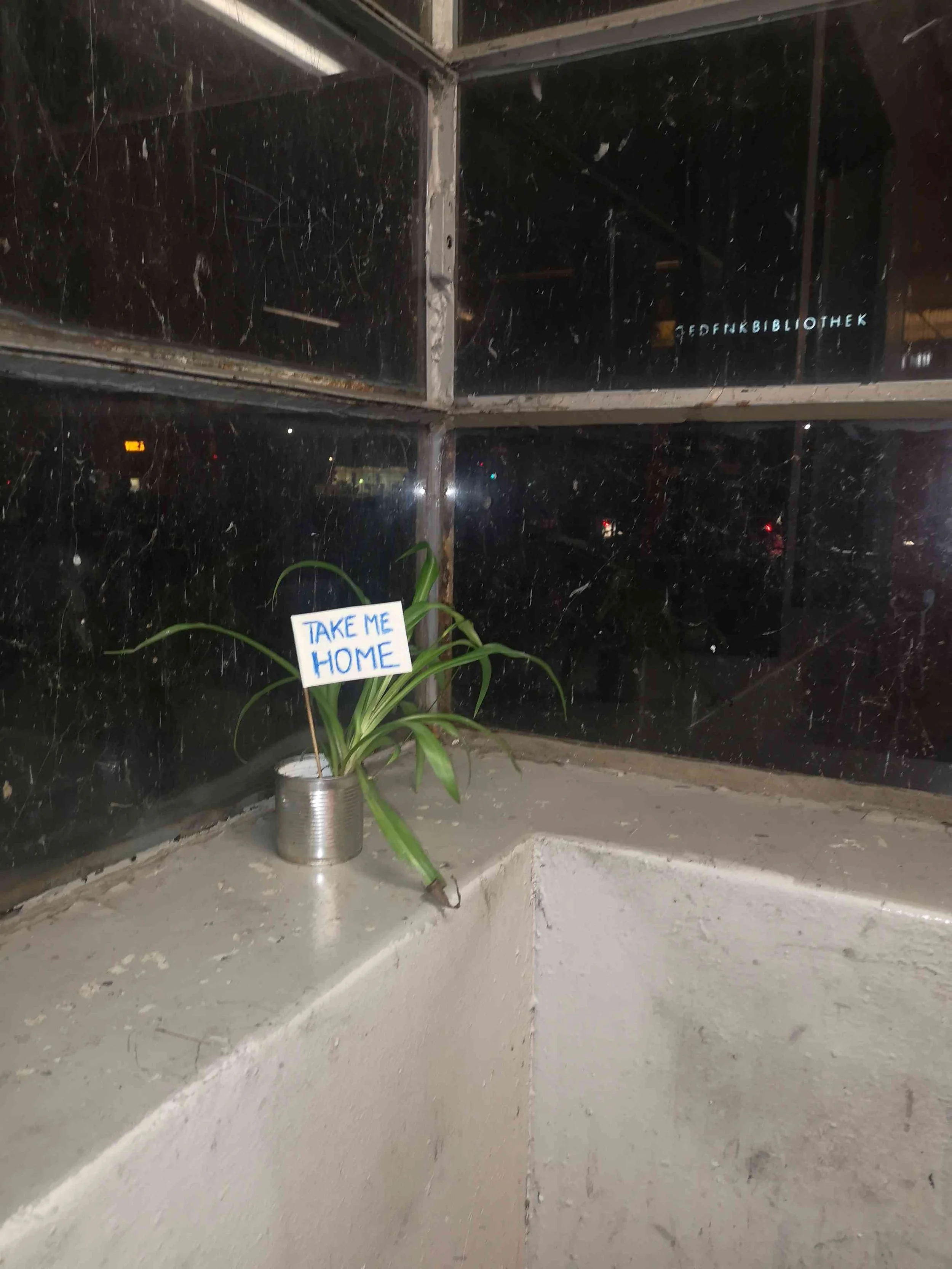 2026 _kerstin kary_take me home_pflanzen 03.jpg