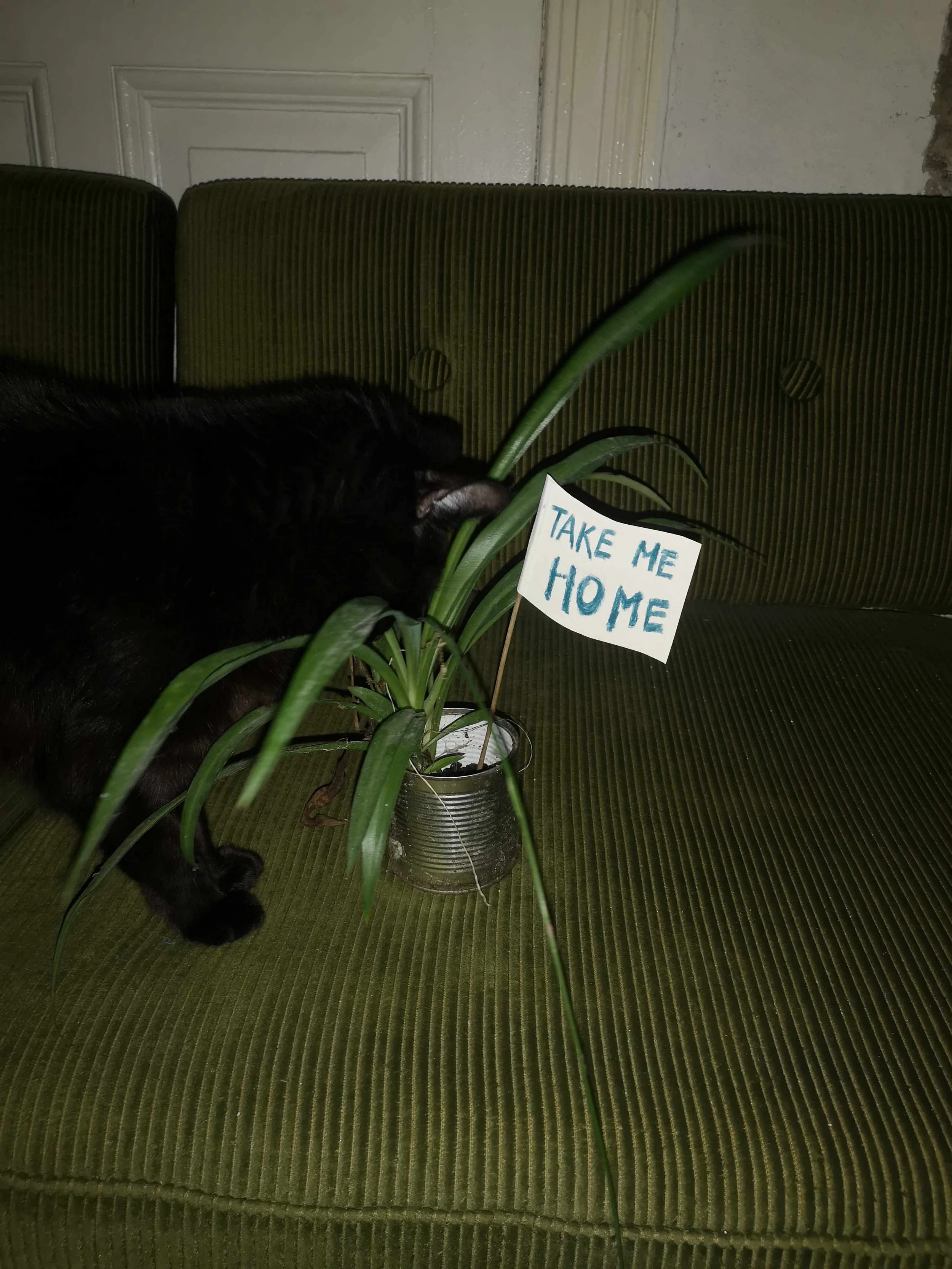 2026 _kerstin kary_take me home 01.jpg