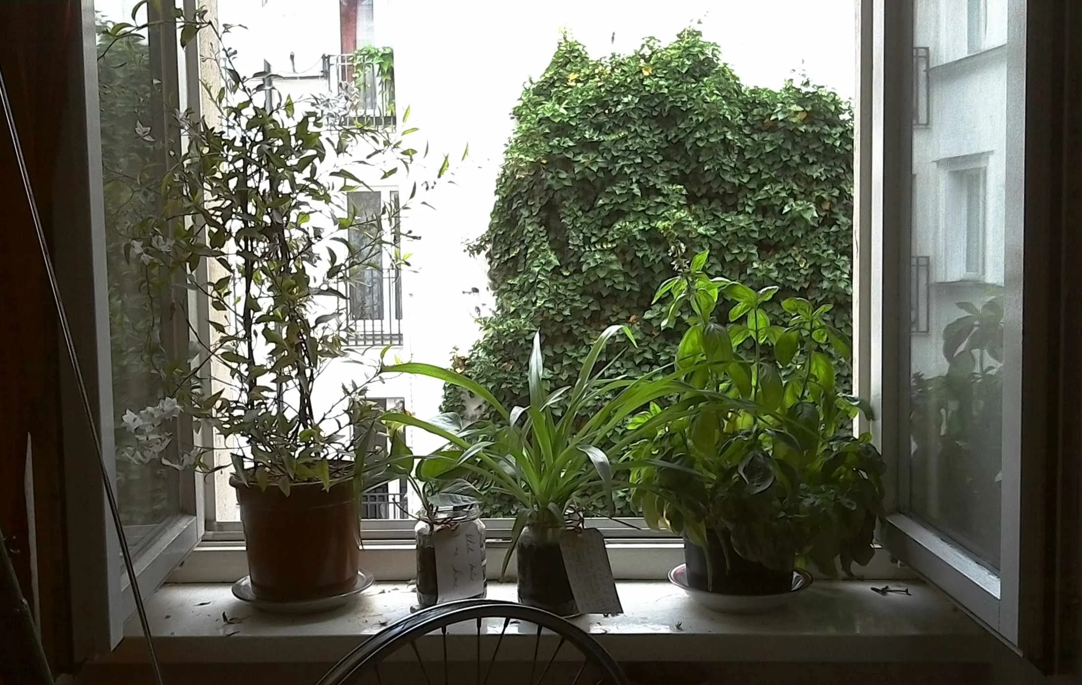 2026_04 _kerstin kary_green friends_ plant_home01.jpg