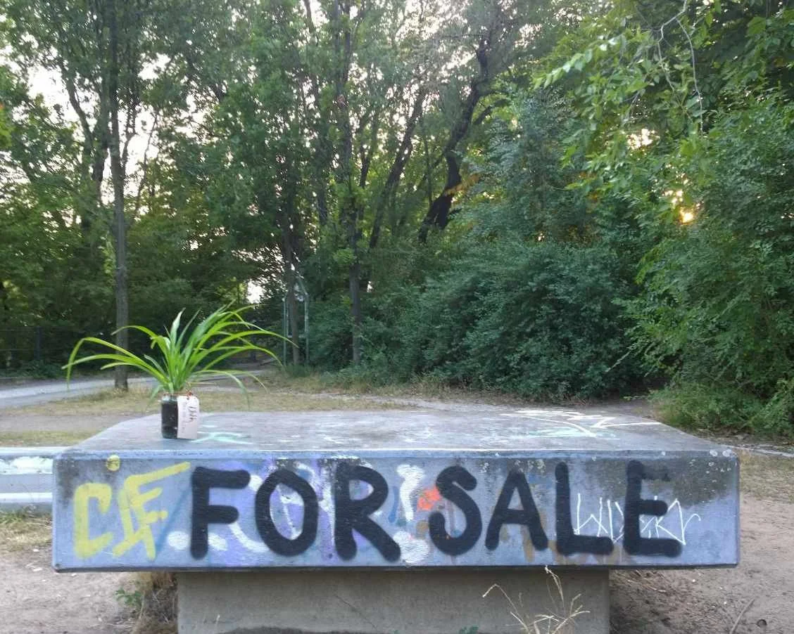 2026_04 _kerstin kary_green friends_ plant_kreuzberg01.jpg