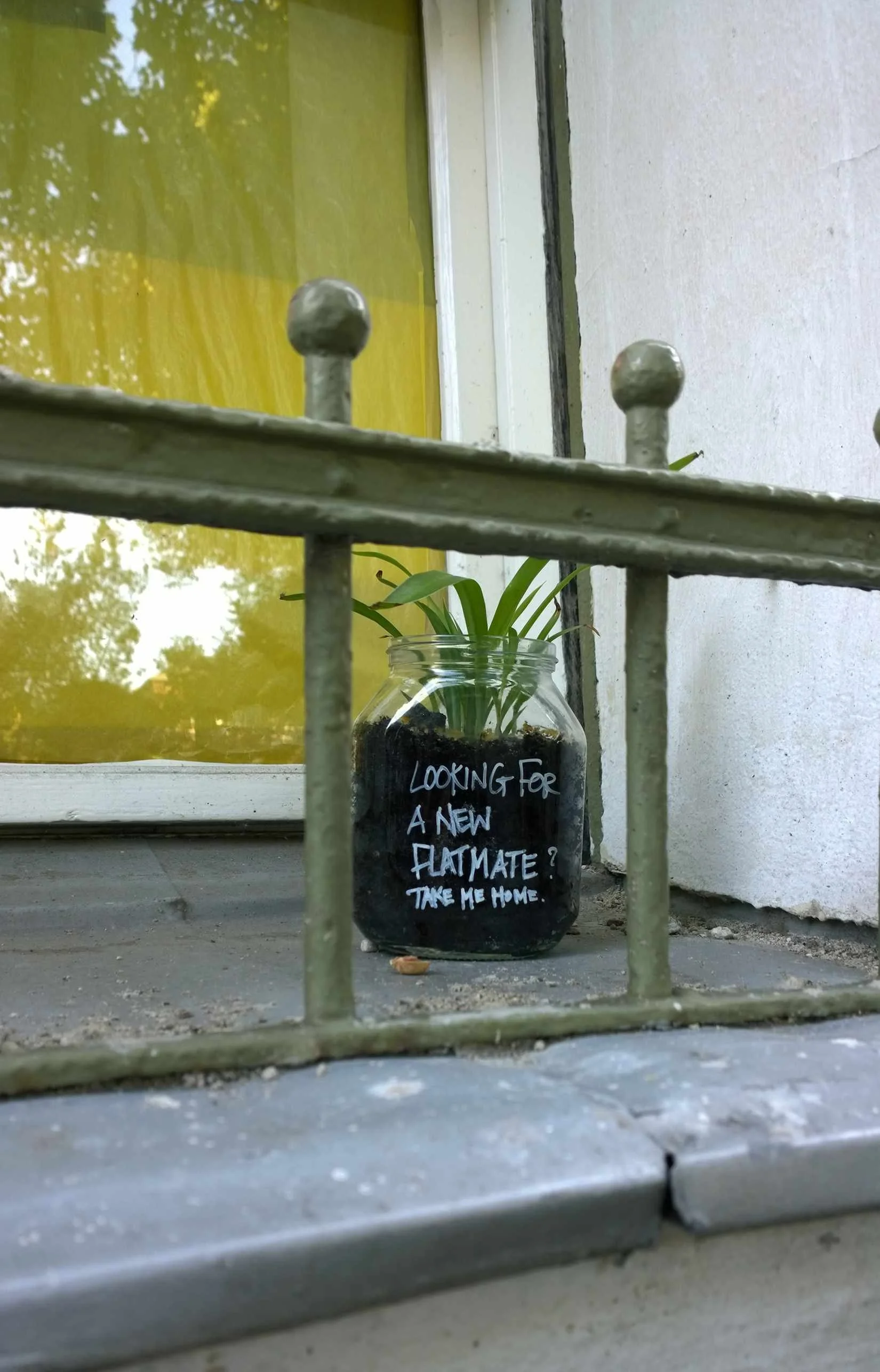 2026_04 _kerstin kary_green friends_ plant_kreuzberg03.jpg