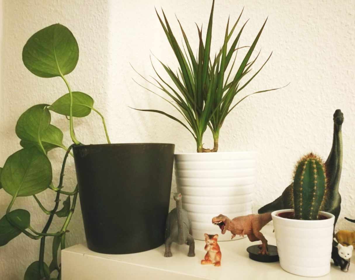 2026_04 _kerstin kary_green friends_ plant_nadine.jpg