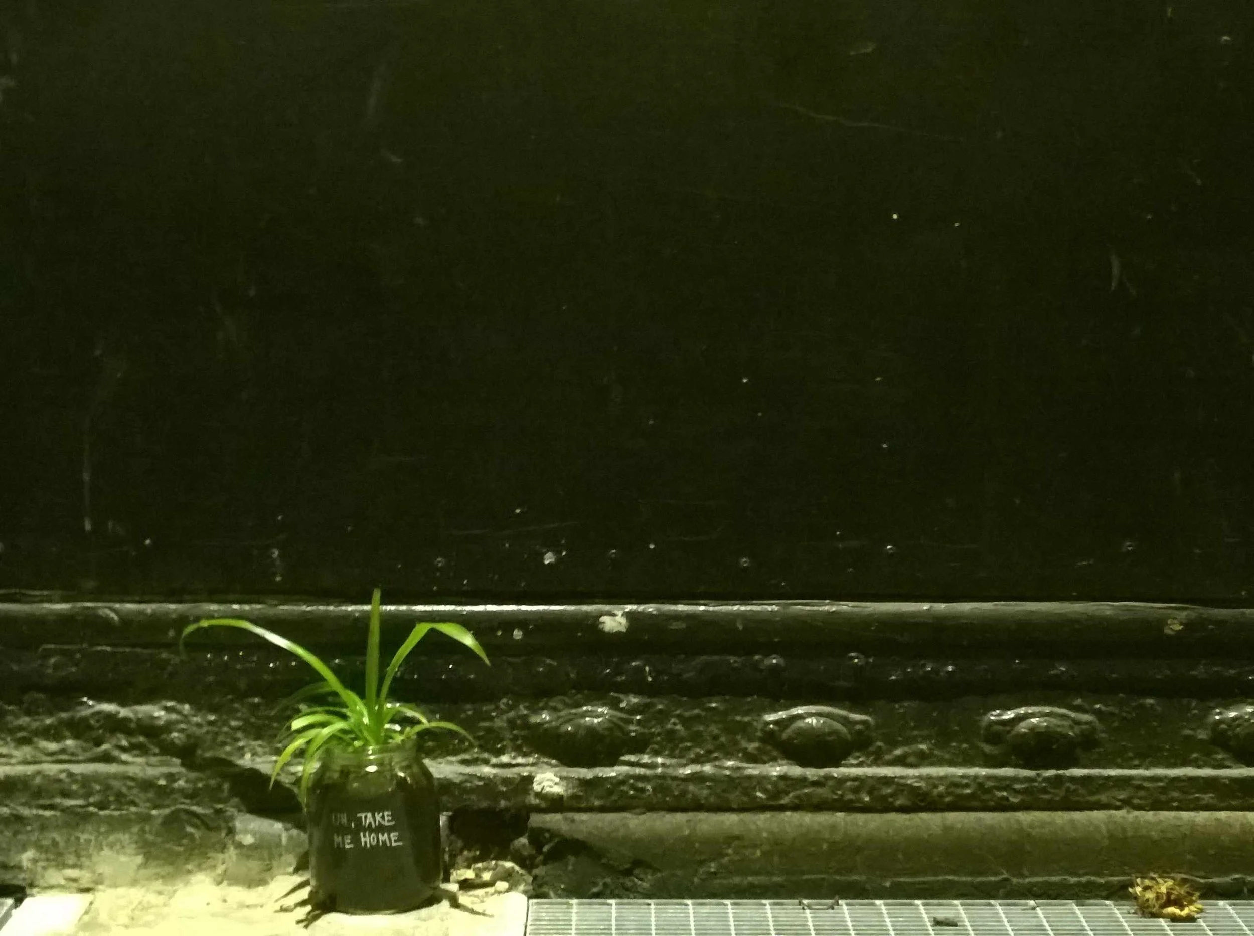 2026_04 _kerstin kary_green friends_ plant_wedding02.jpg