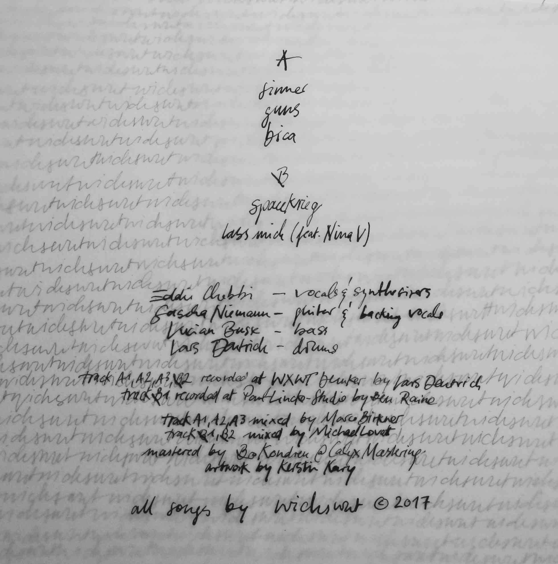 2026 _kerstin kary_cover artworks_wichswut_2.jpg