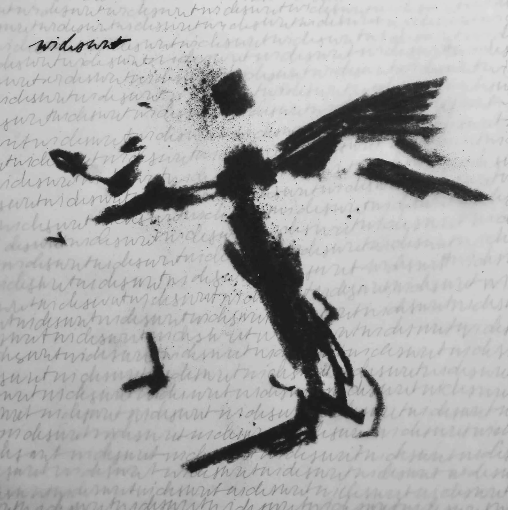 2026 _kerstin kary_cover artworks_wichswut_1.jpg