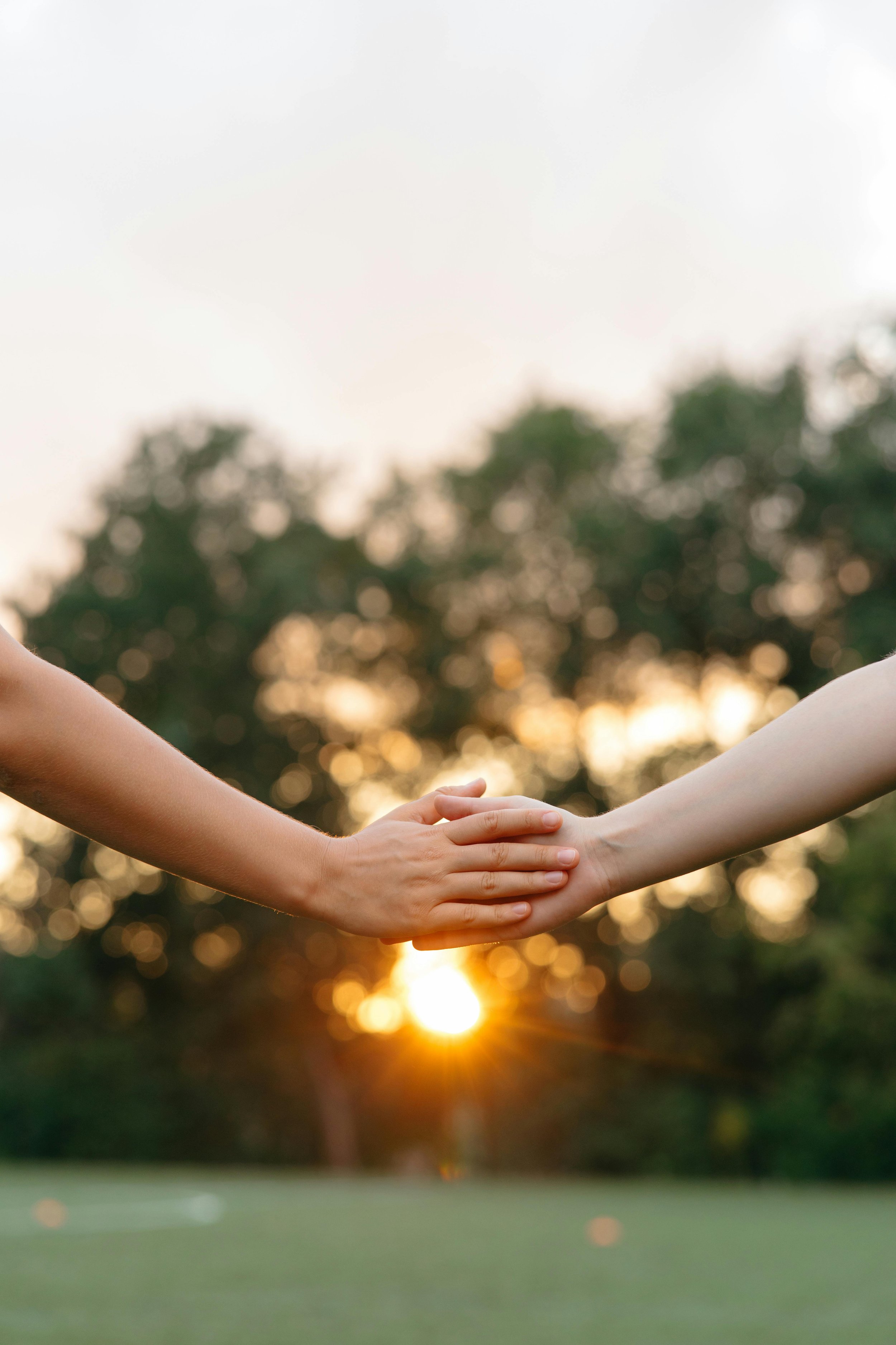 An image depicting Two people holding hands against a sunset background with trees, symbolizing connection and unity representing therapy for women and therapy for college students specializing in Relationship Therapy in East Lansing, MI.