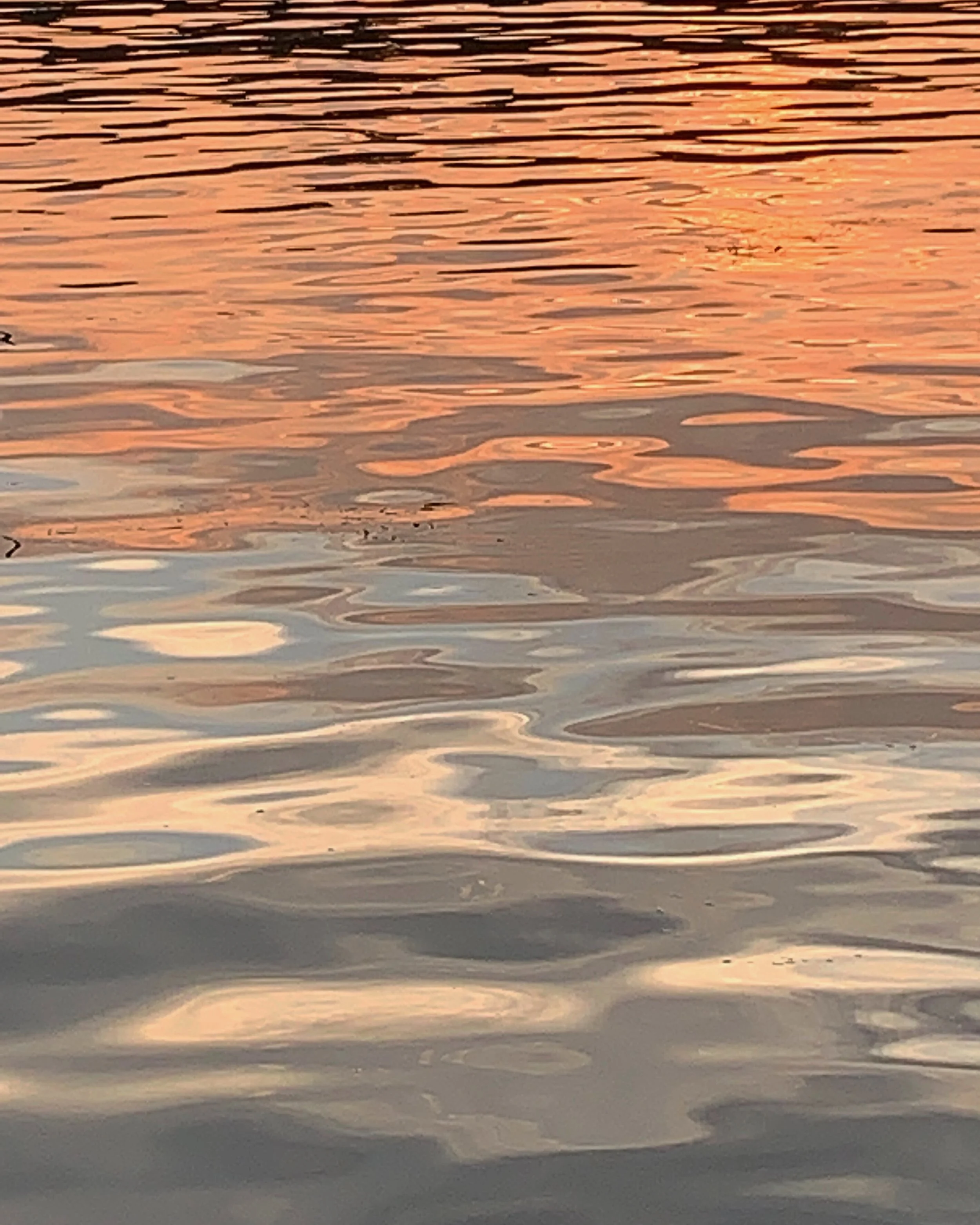 Water's Edge 10 - Lake Ontario