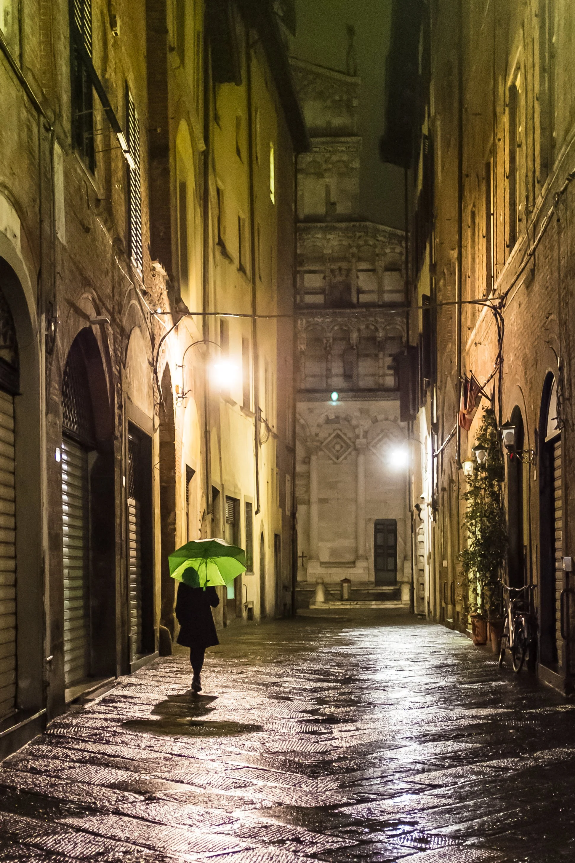 Green Umbrella - Lucca, Italia