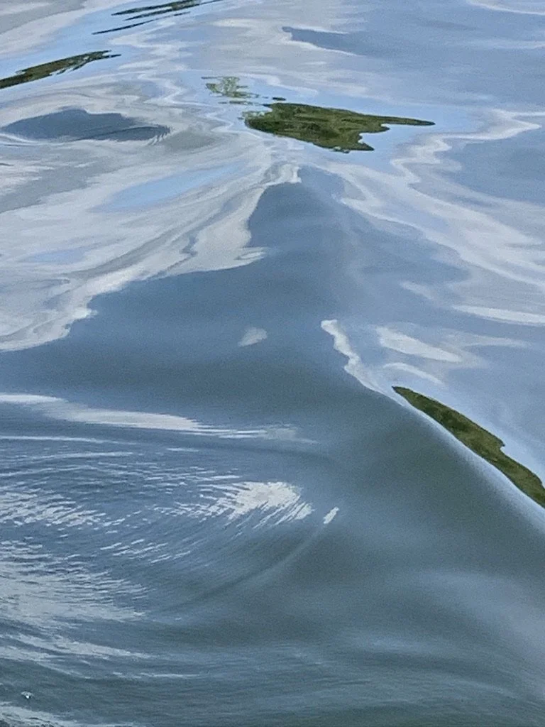 Water's Edge 15 - Bay of Quinte