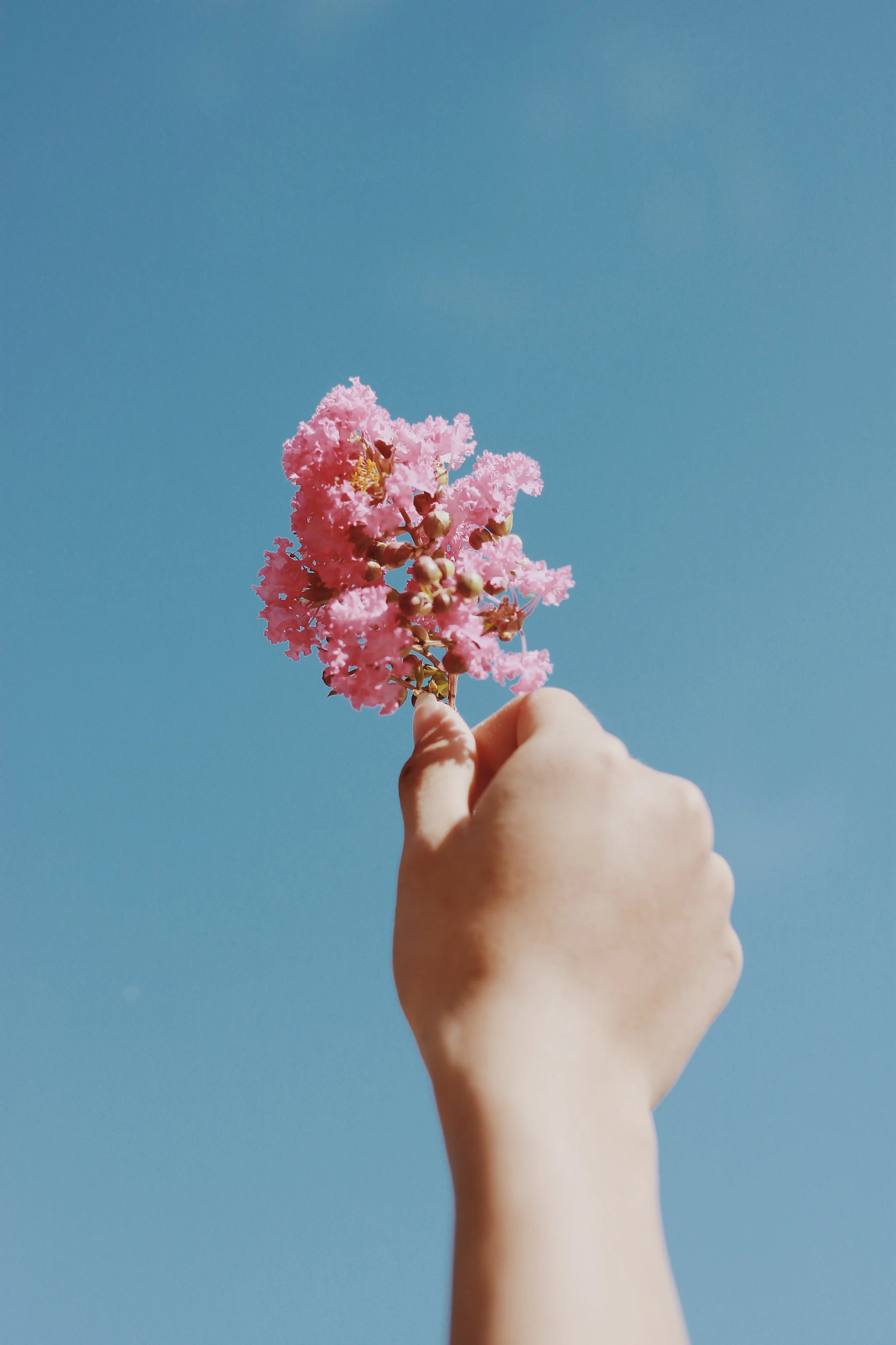 Woman holding a pink flower in front of a blue sky, representing hope and growth in therapy
