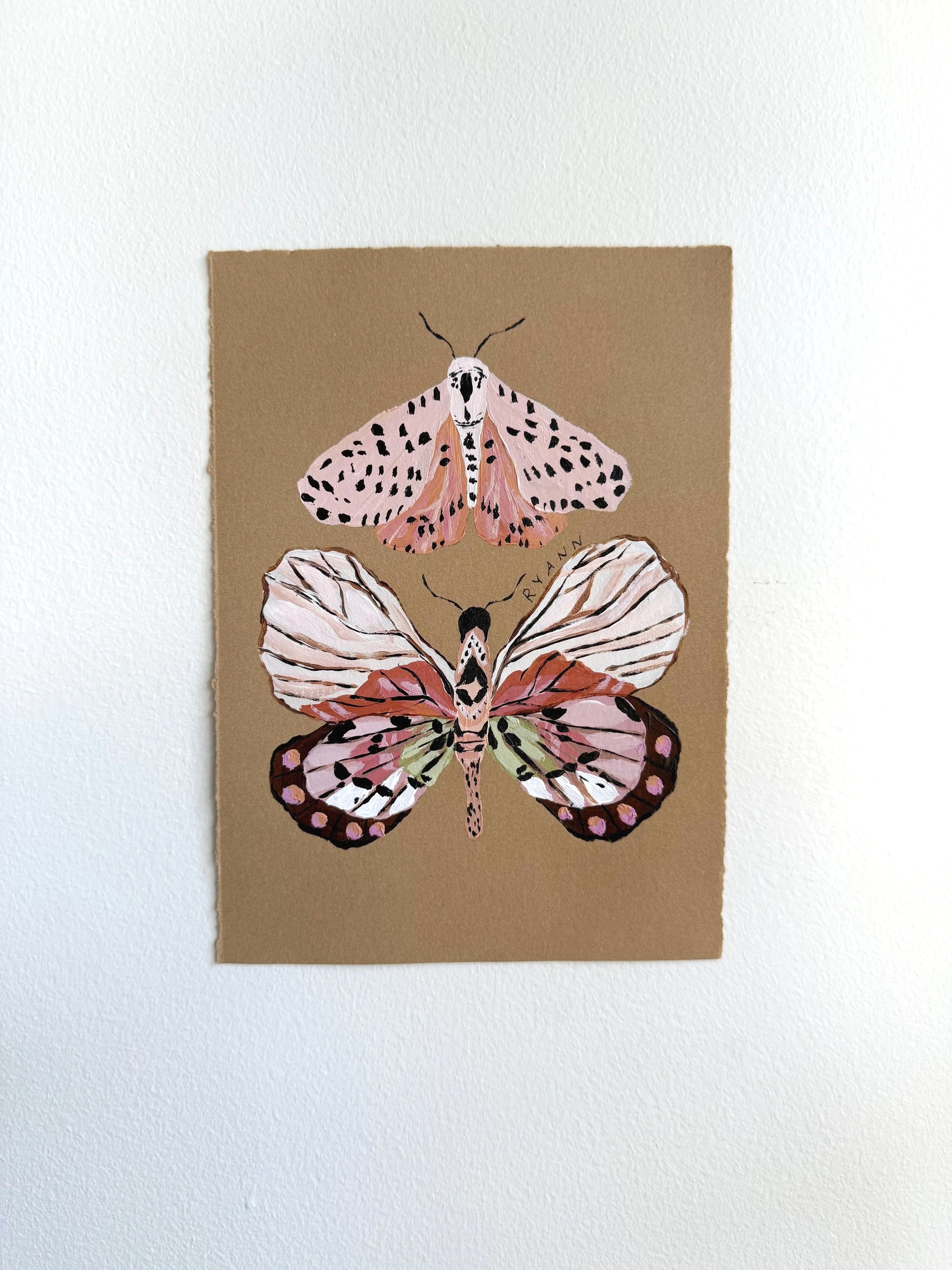 butterfly V