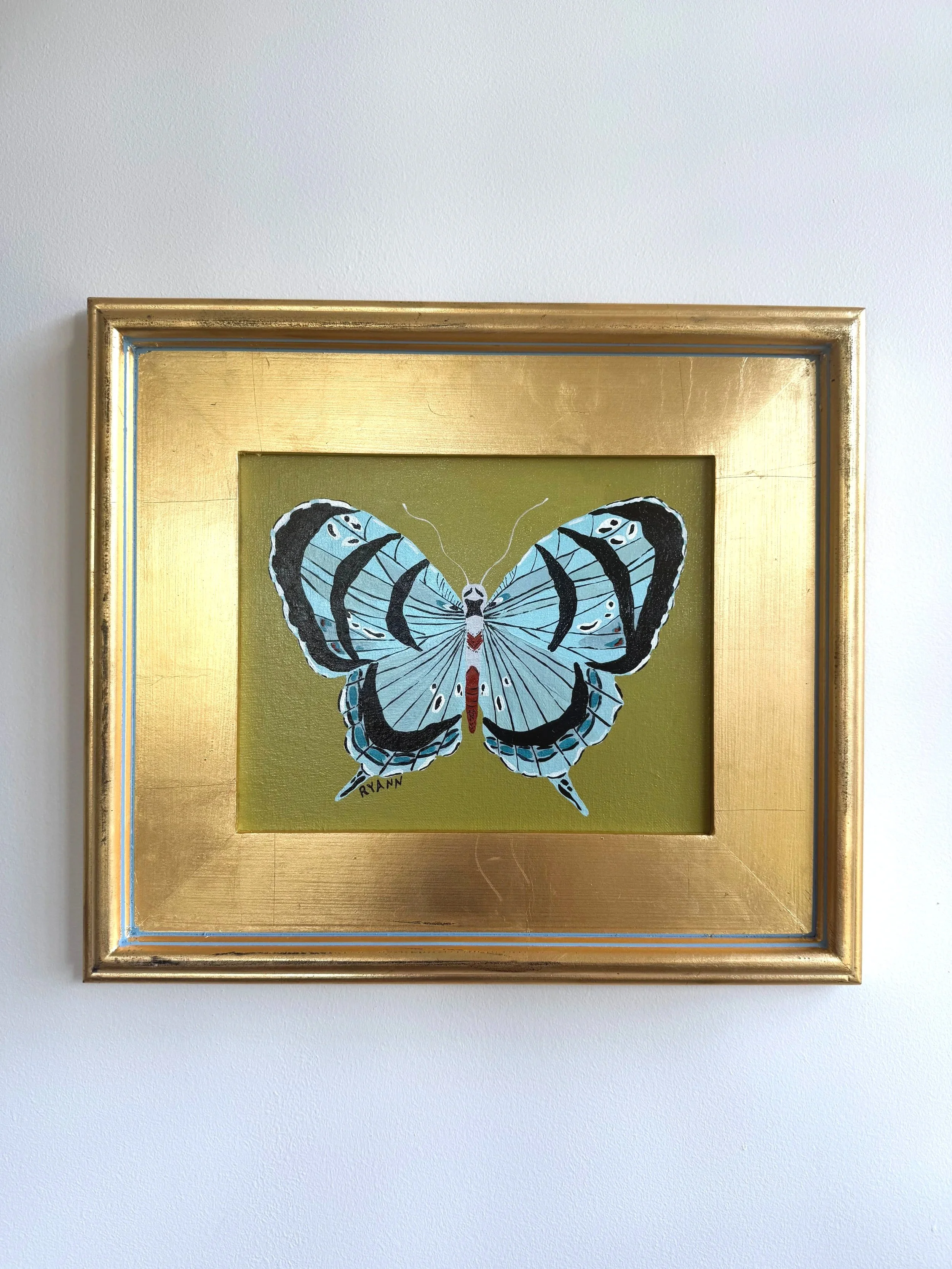 butterfly XIV
