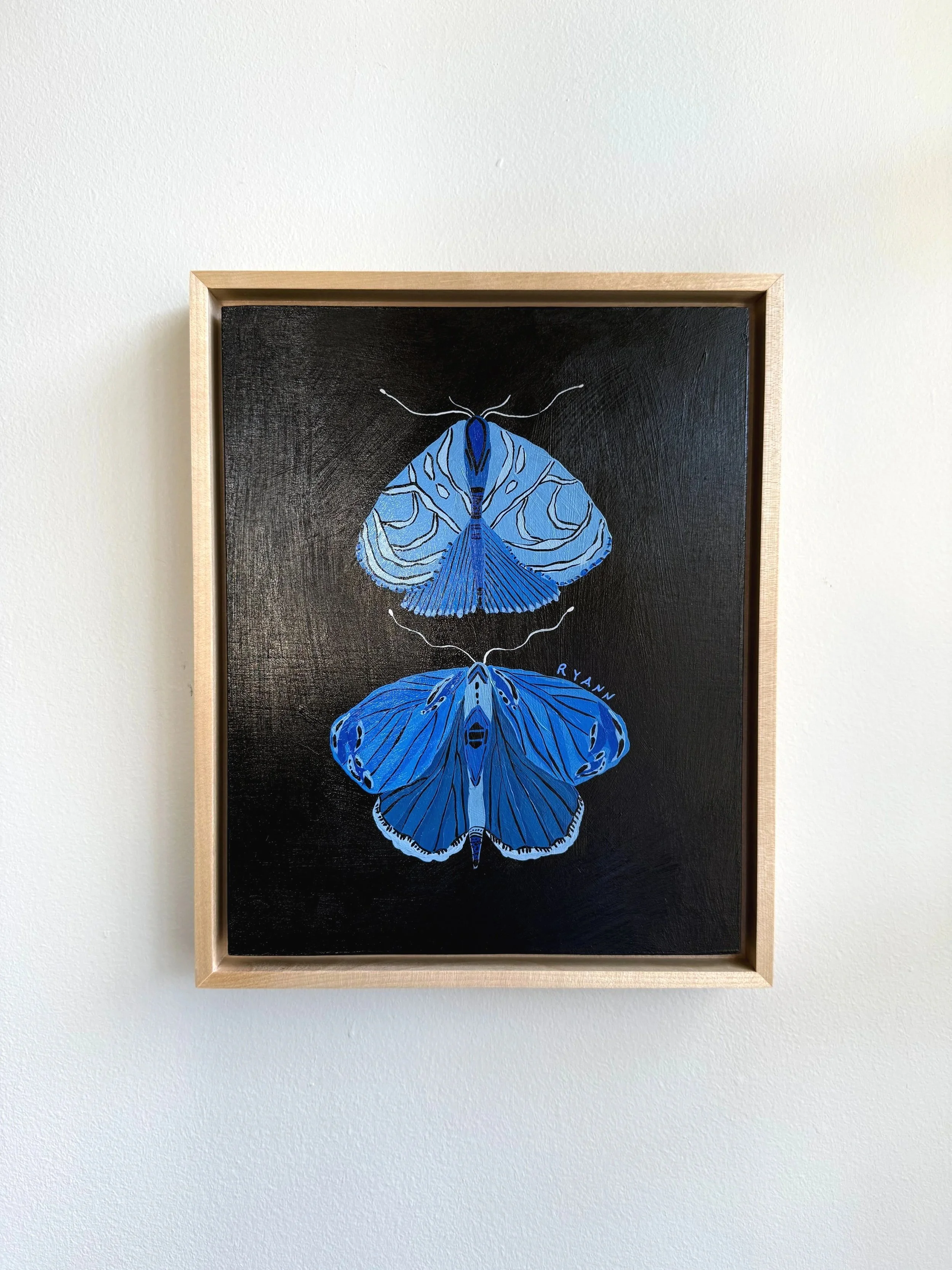 butterfly VIII