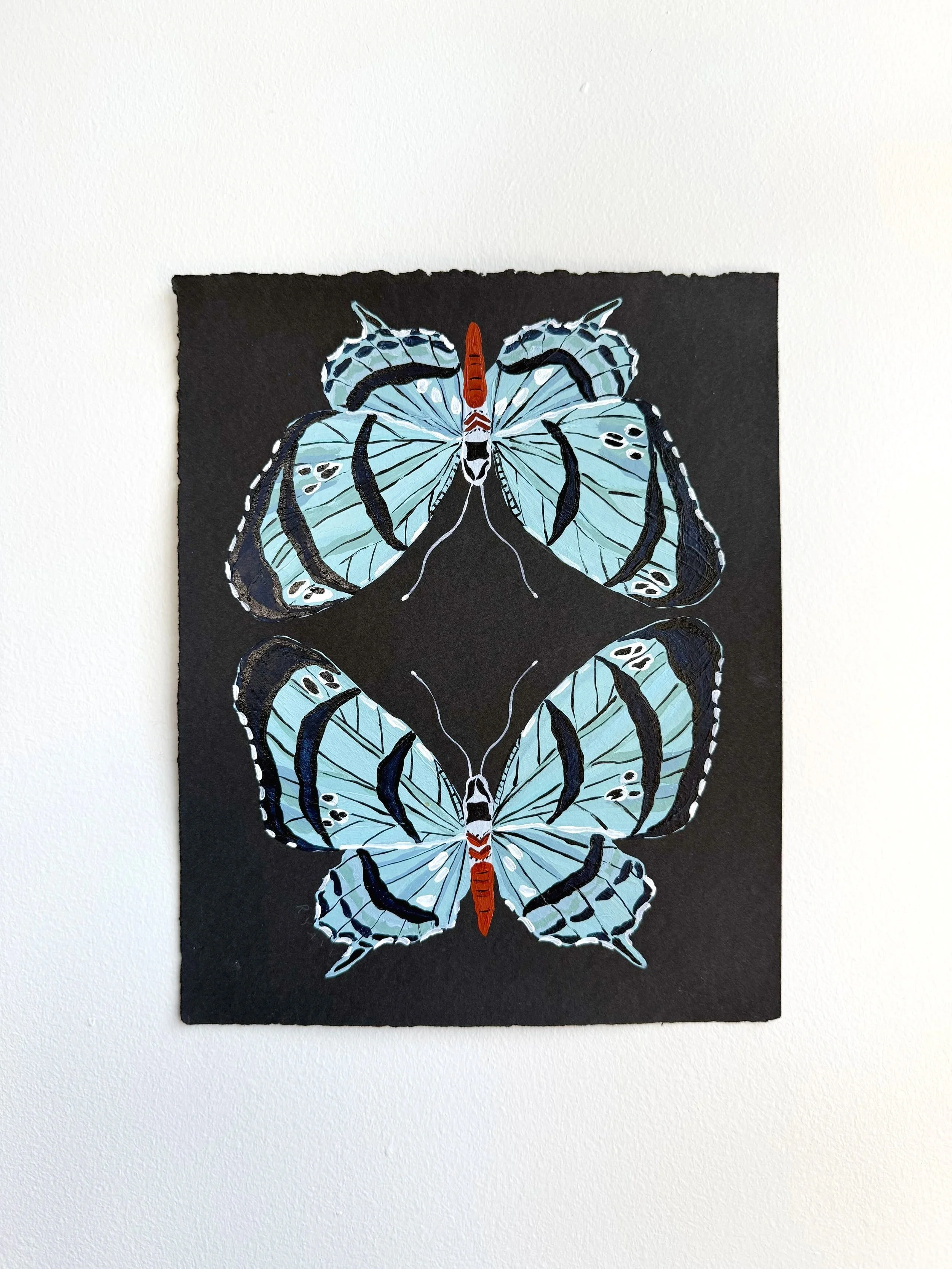 butterfly II