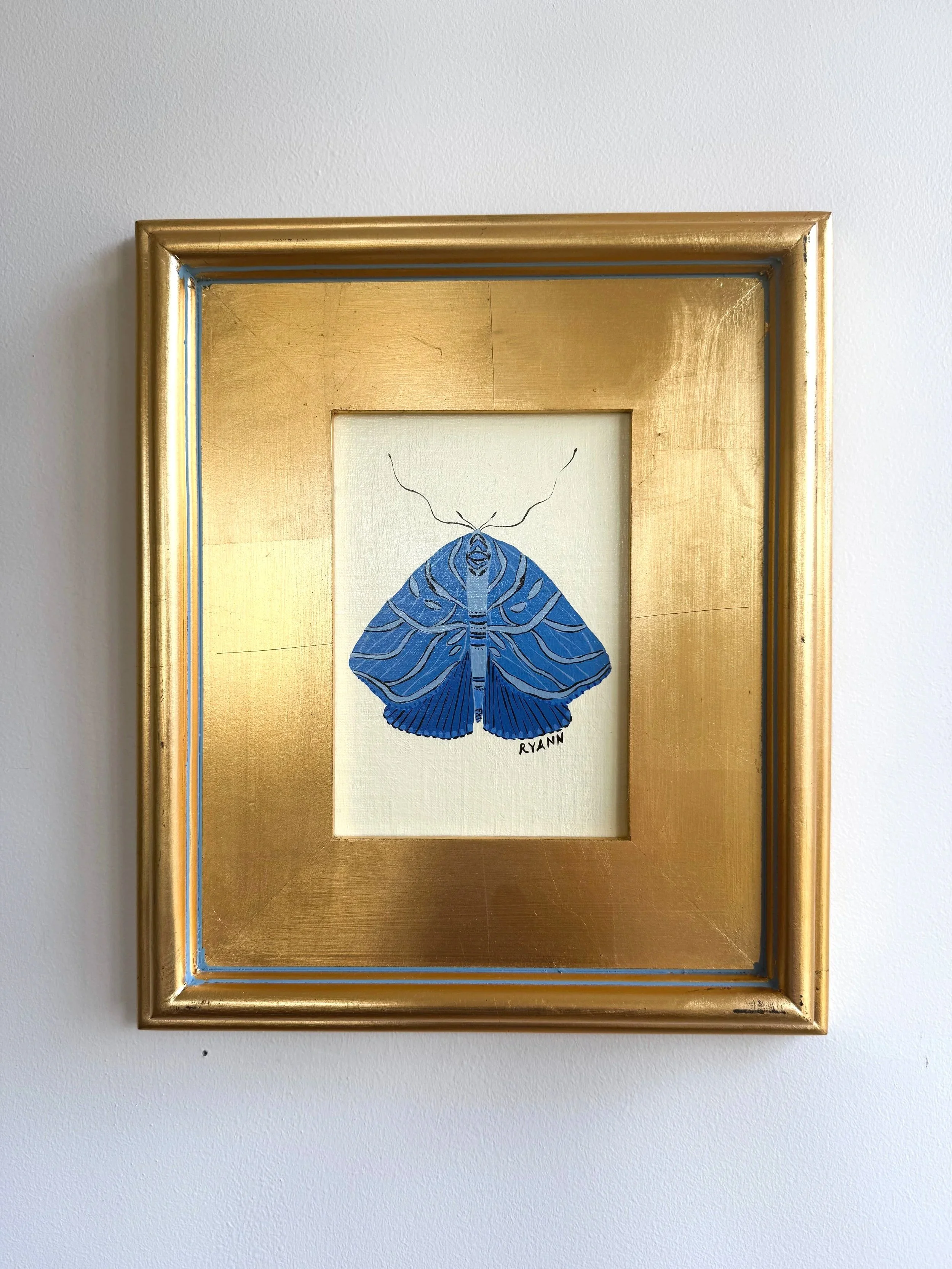 butterfly XV