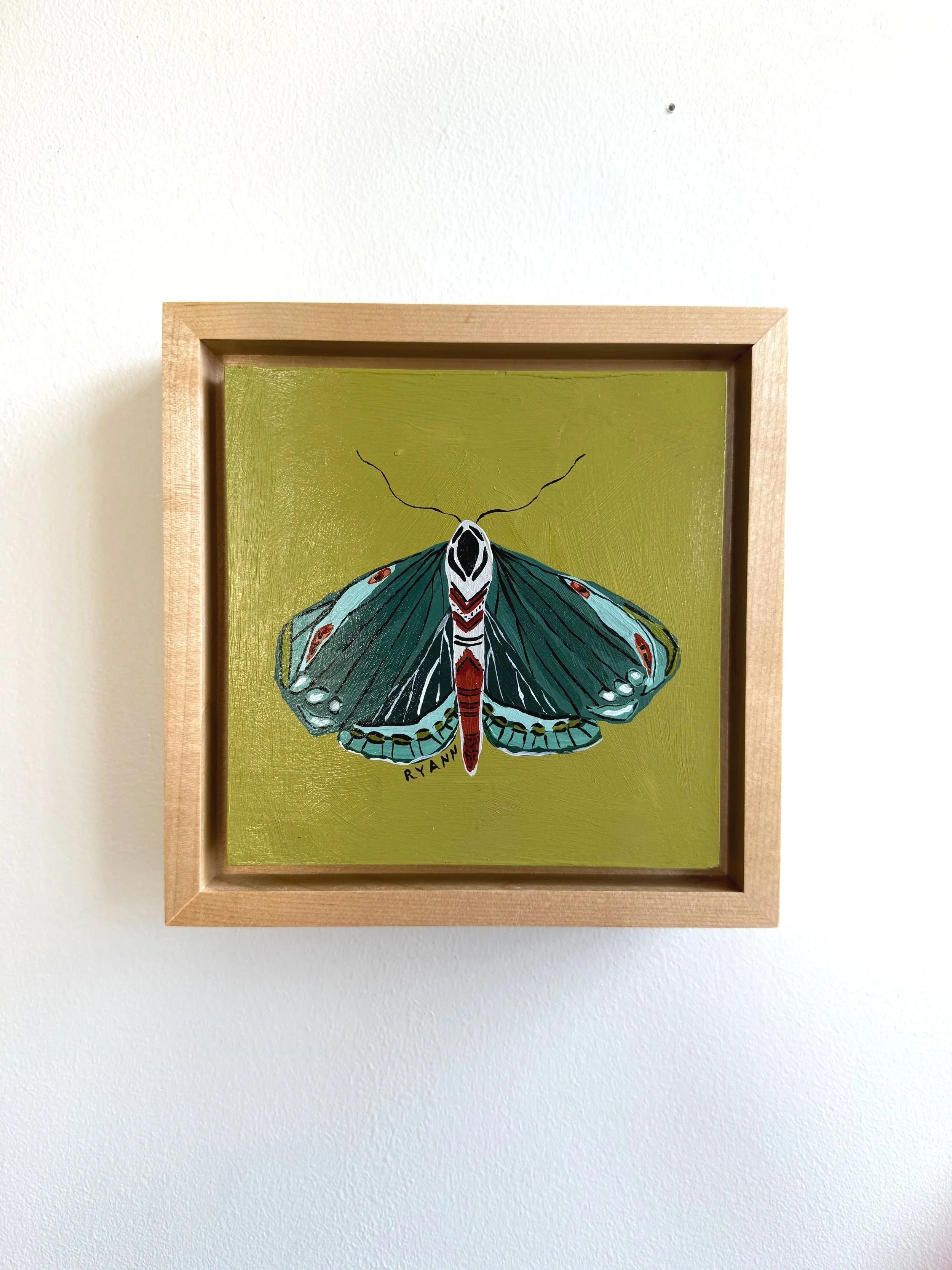 butterfly XII