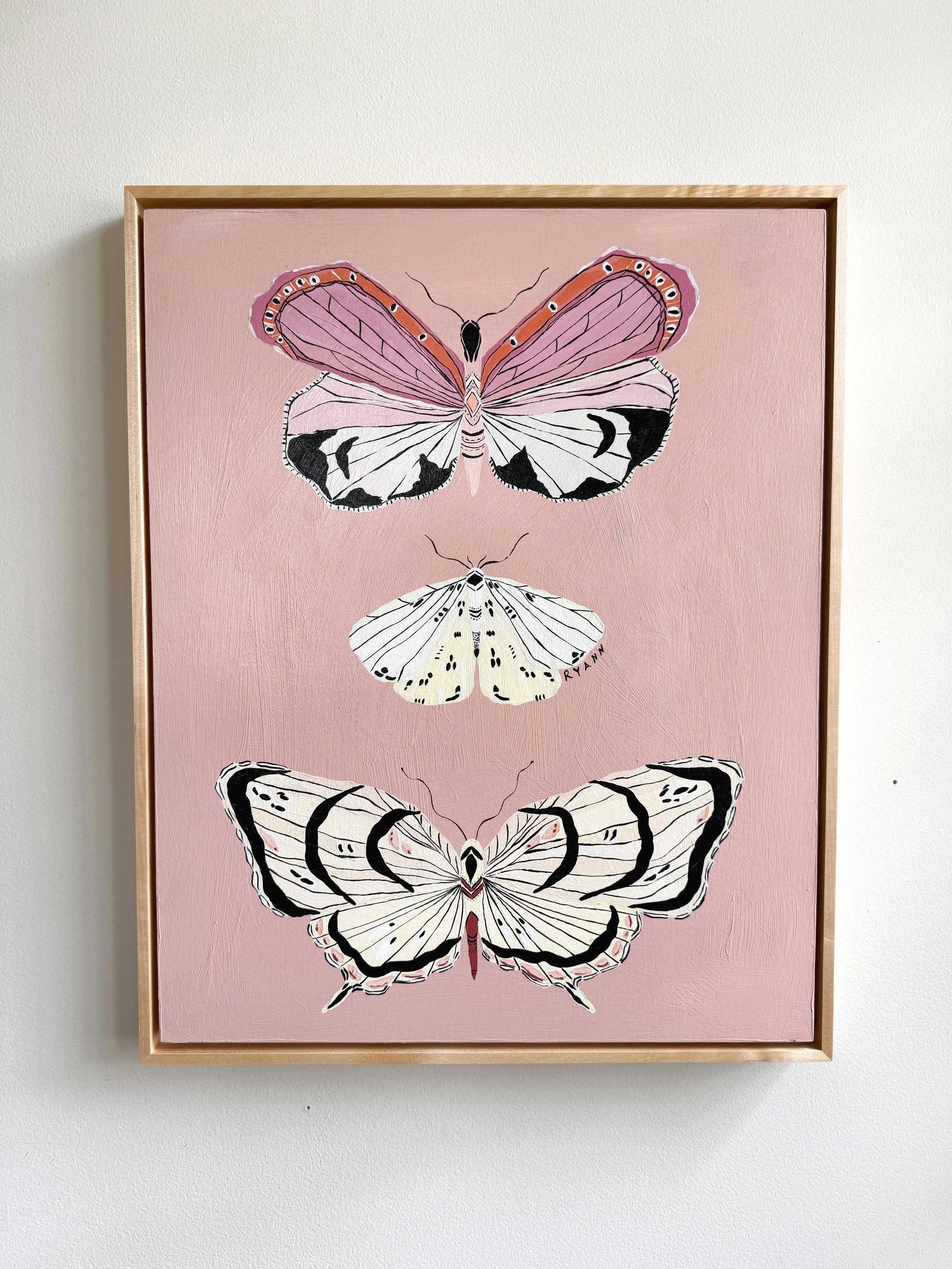 butterfly XIII