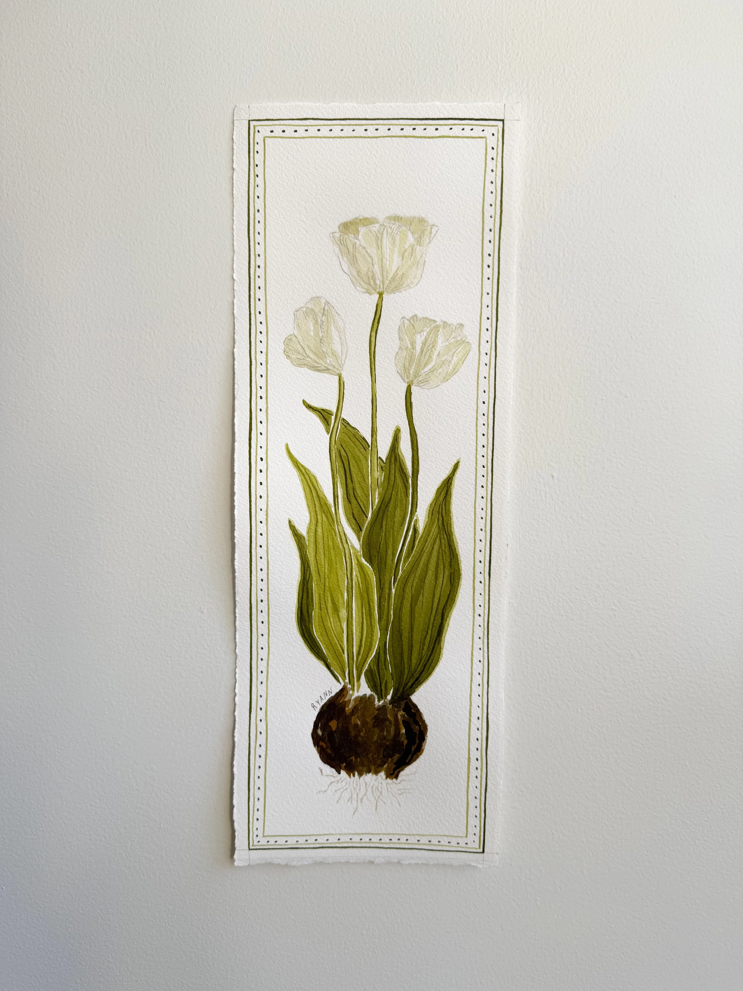 "Tulip Bulb"