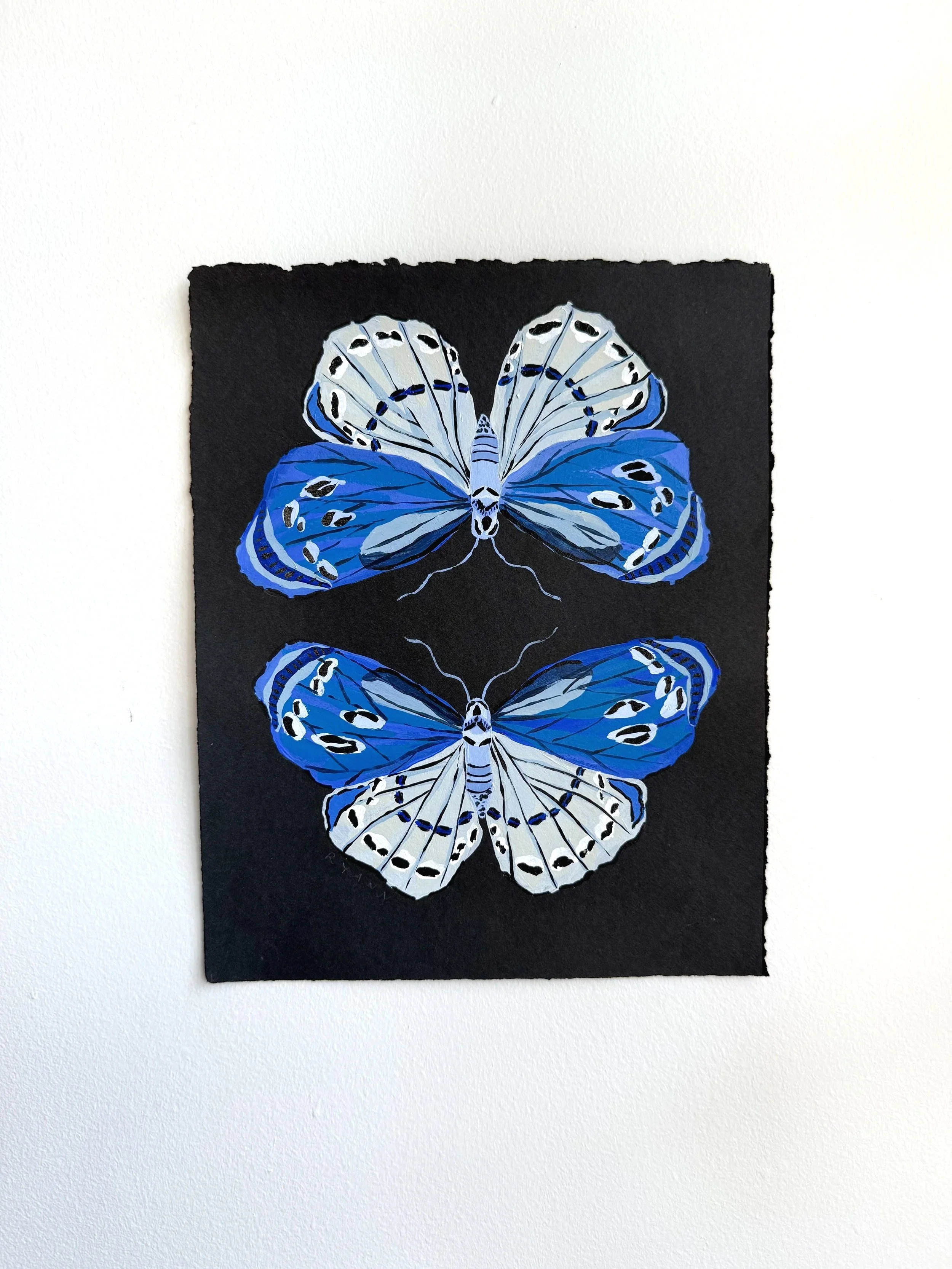 butterfly VI