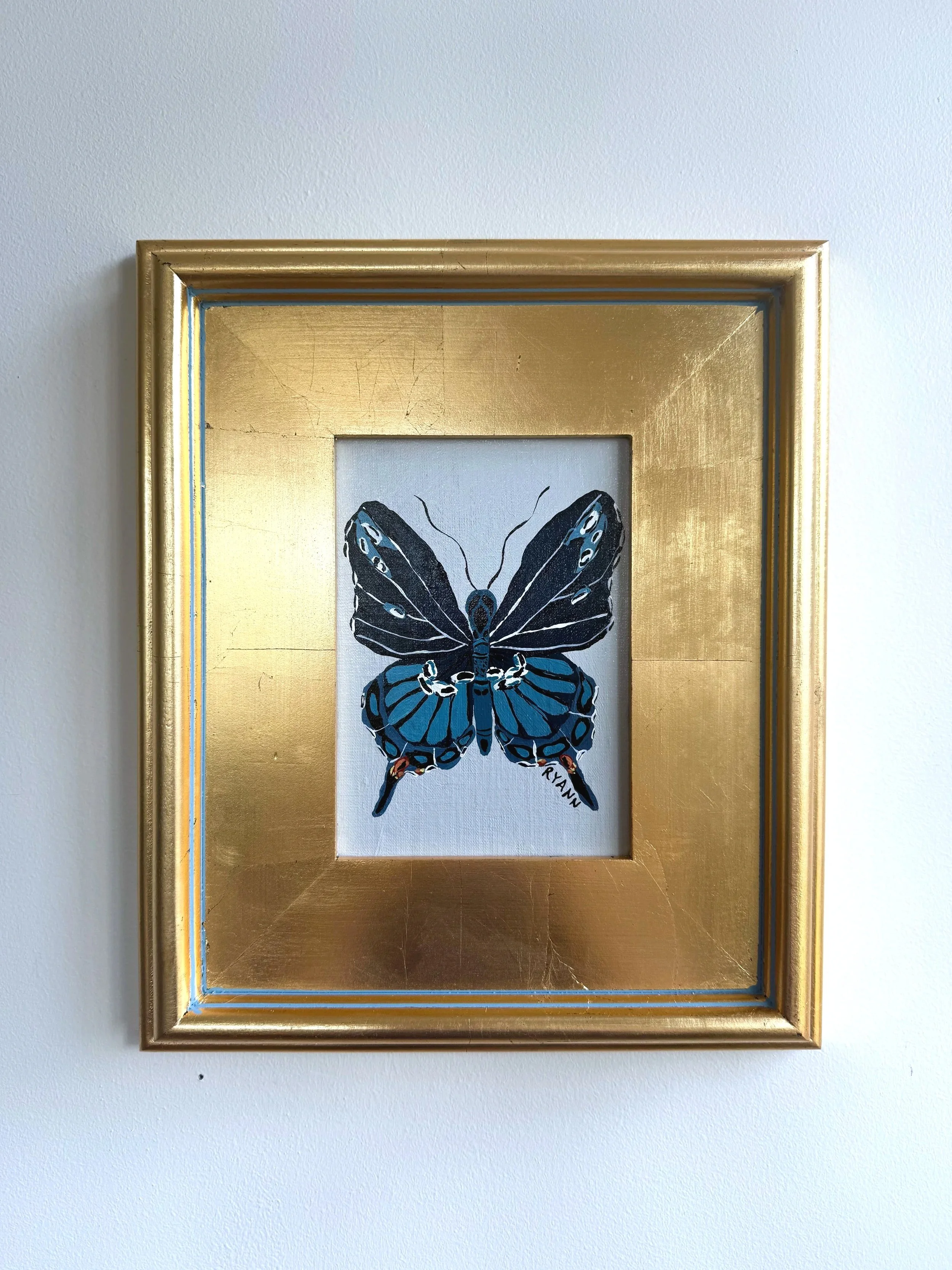 butterfly XVI