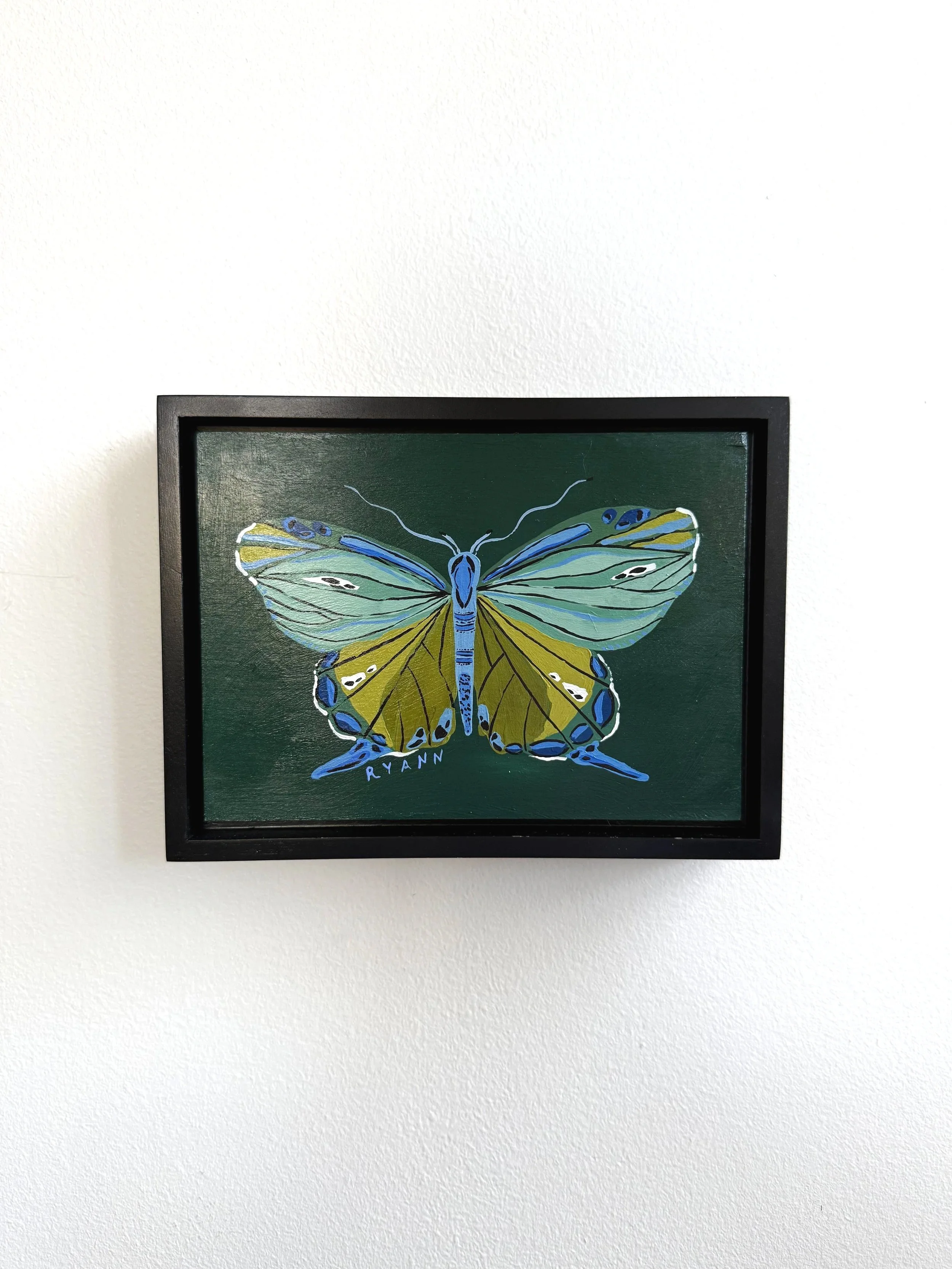 butterfly X
