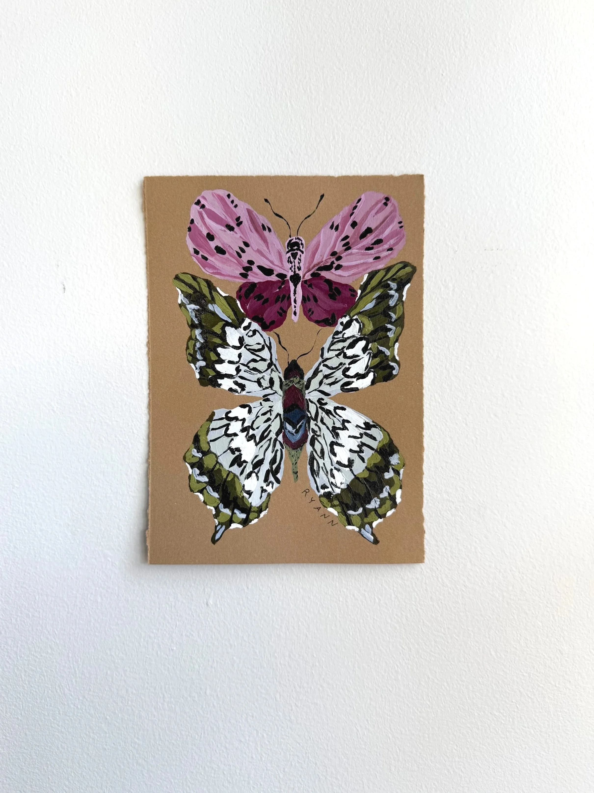 butterfly IV
