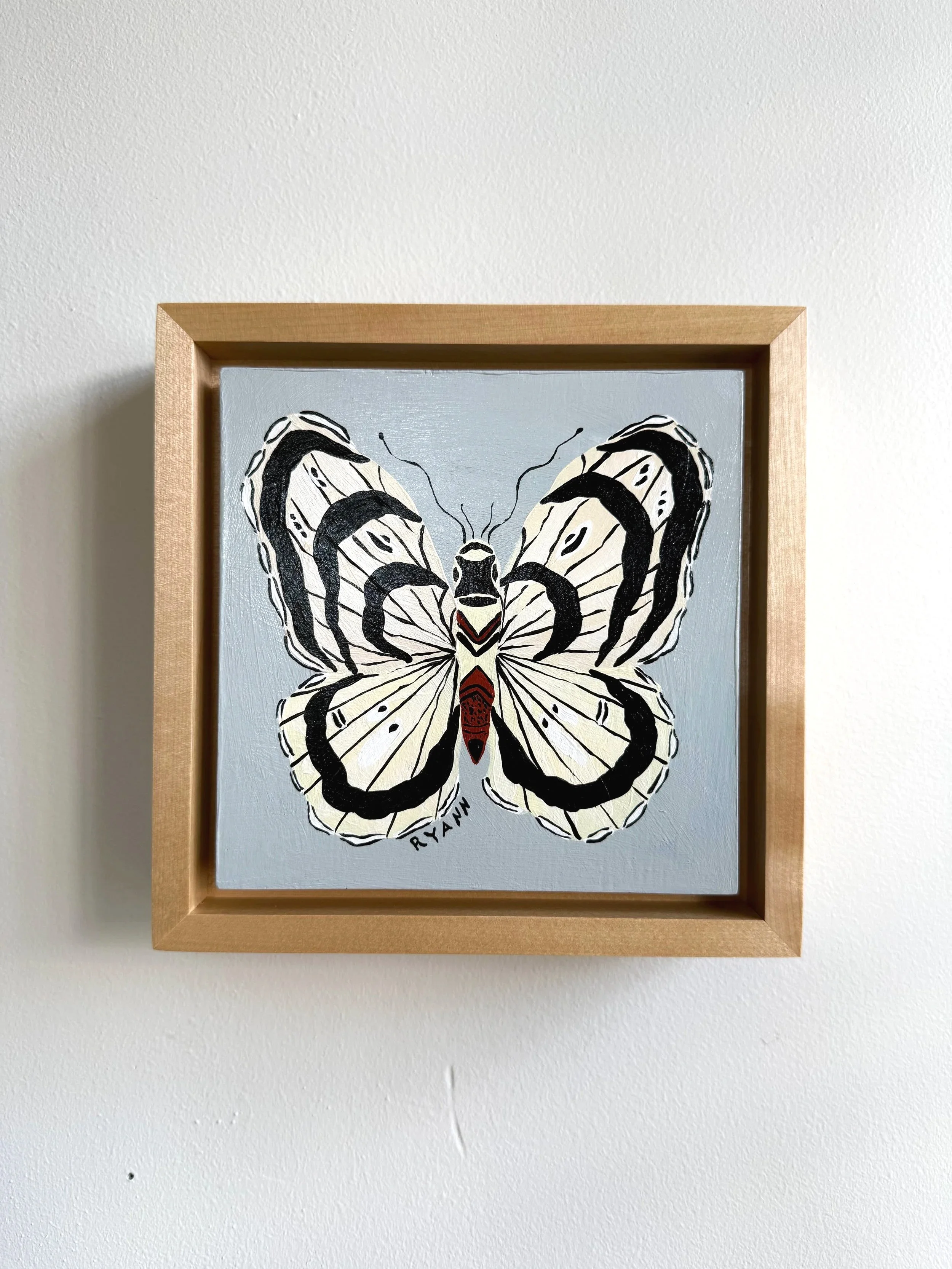 butterfly XI