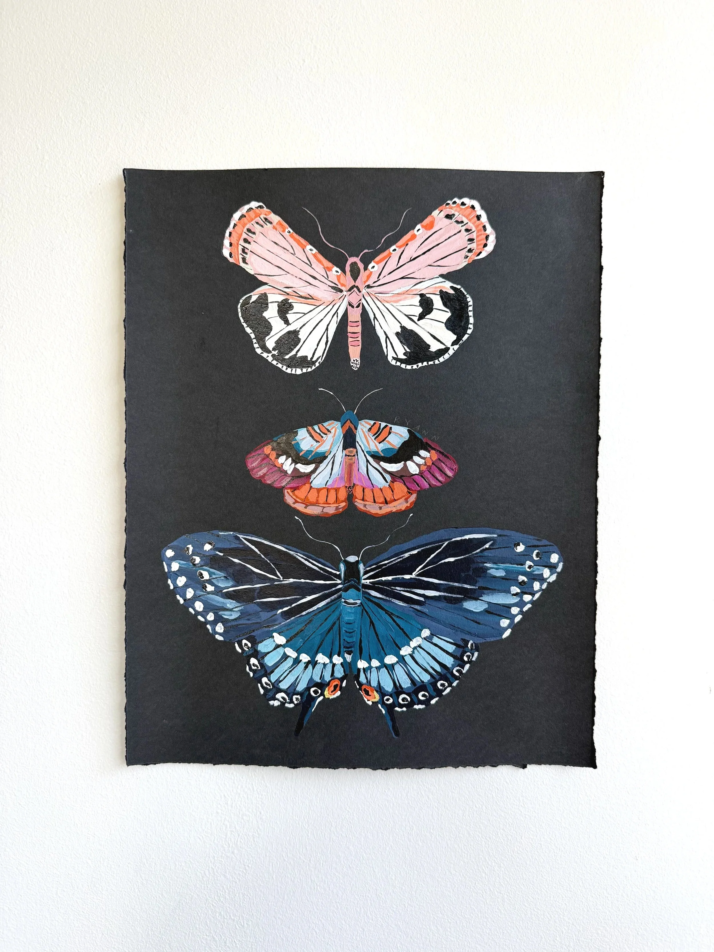 butterfly I