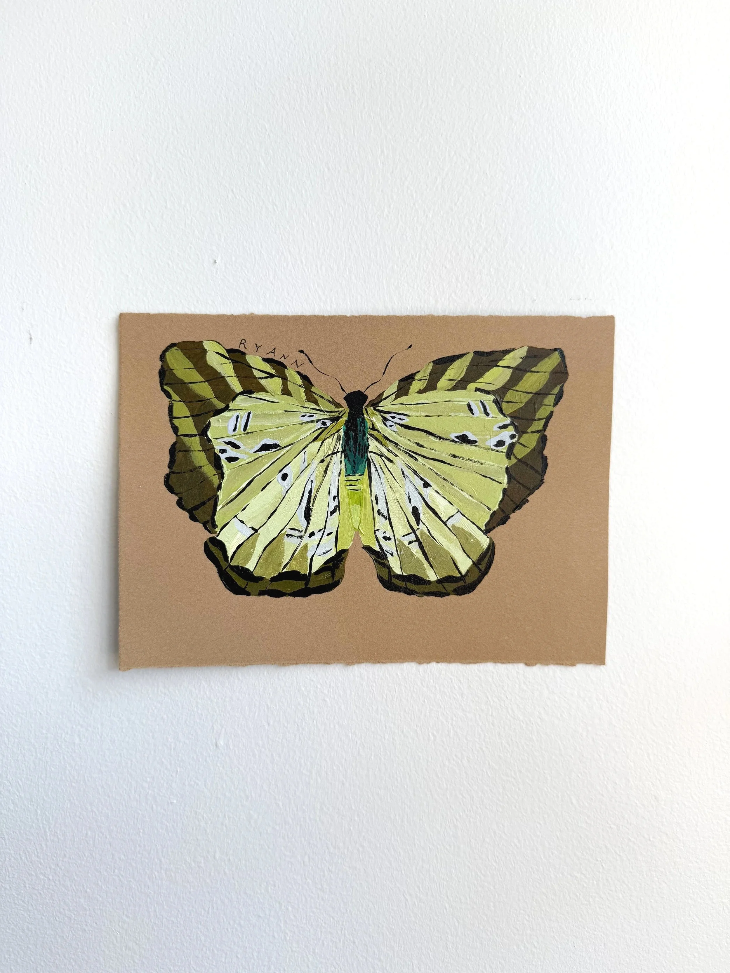 butterfly III