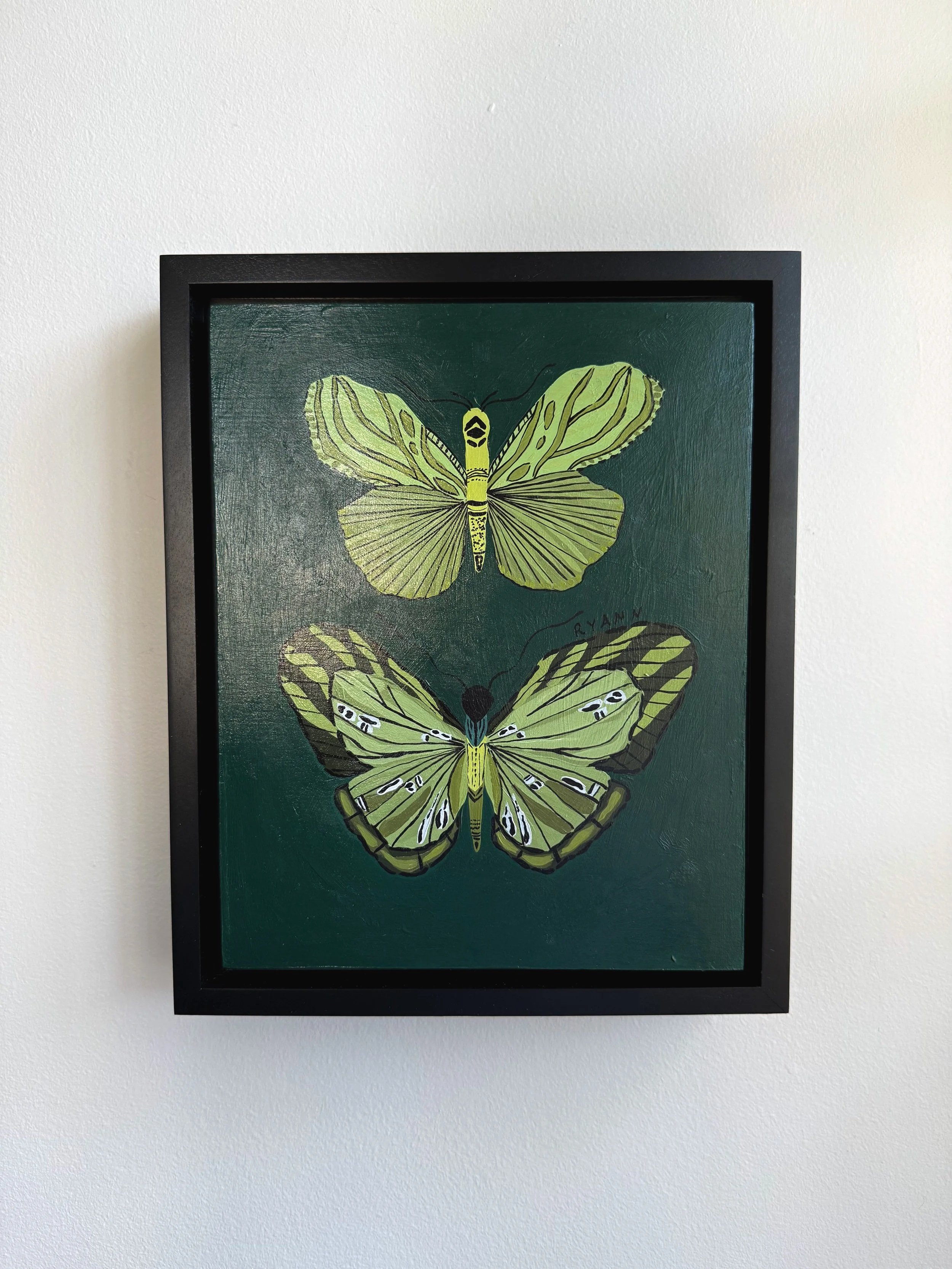 butterfly IX