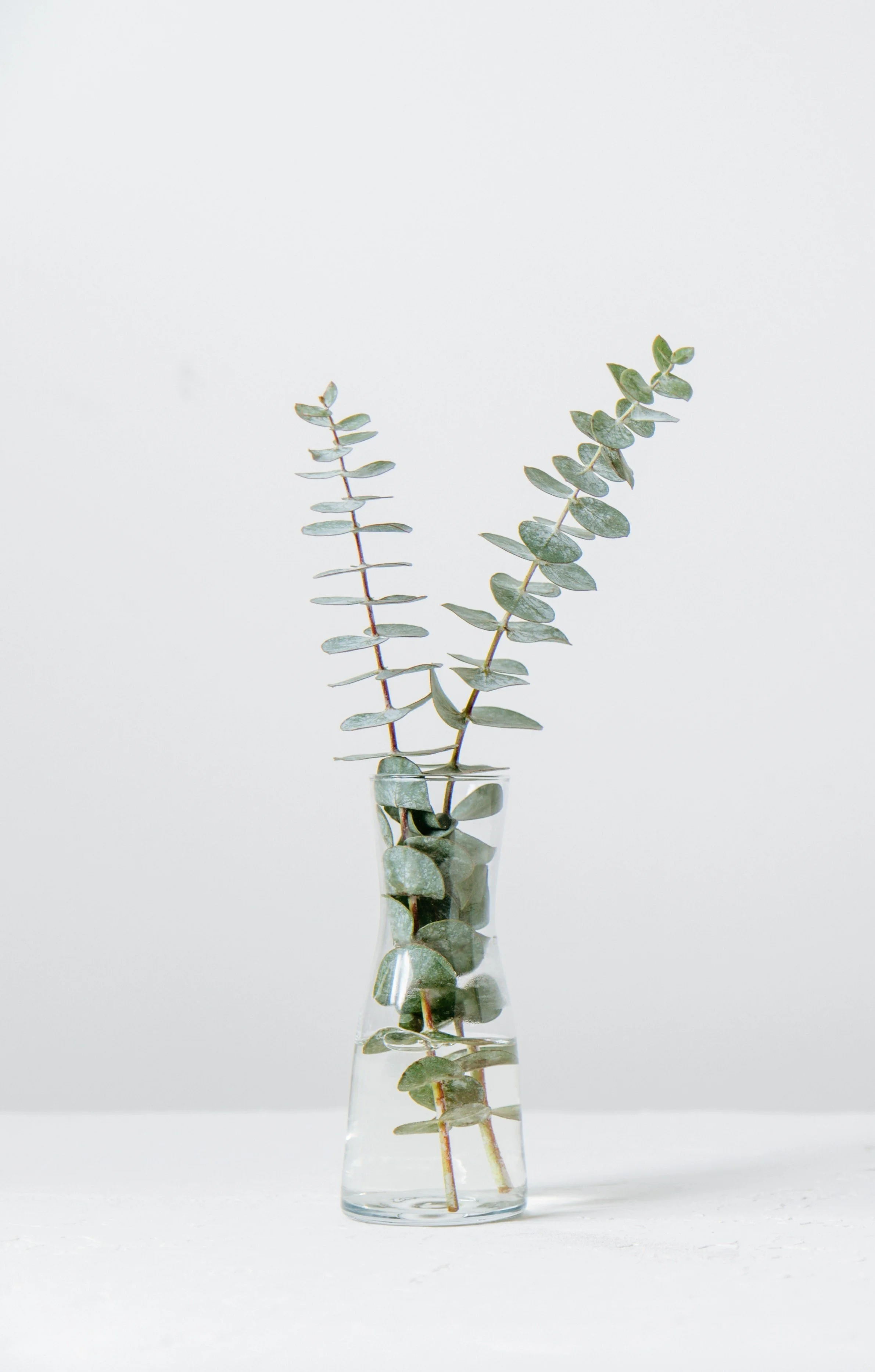 Calming plants