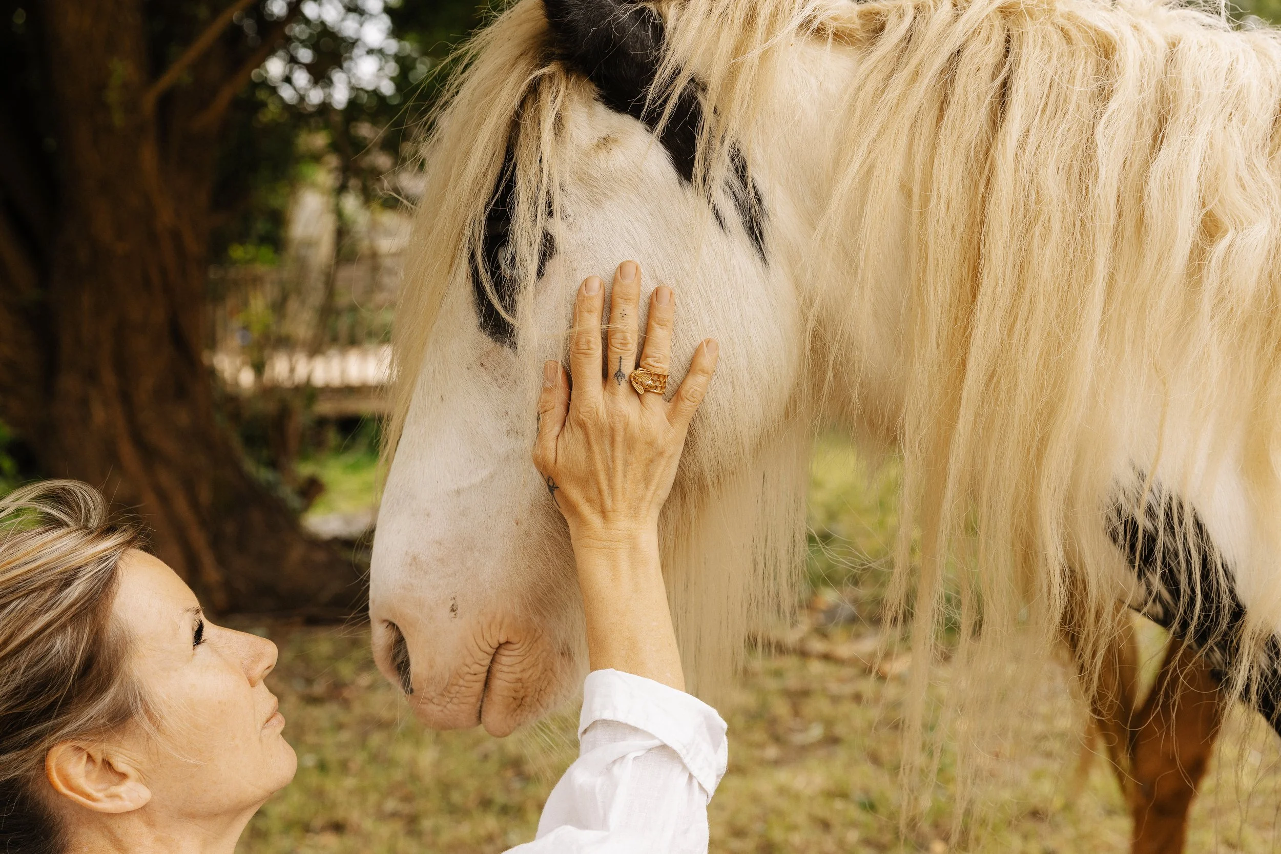 HEARTS AND HORSES