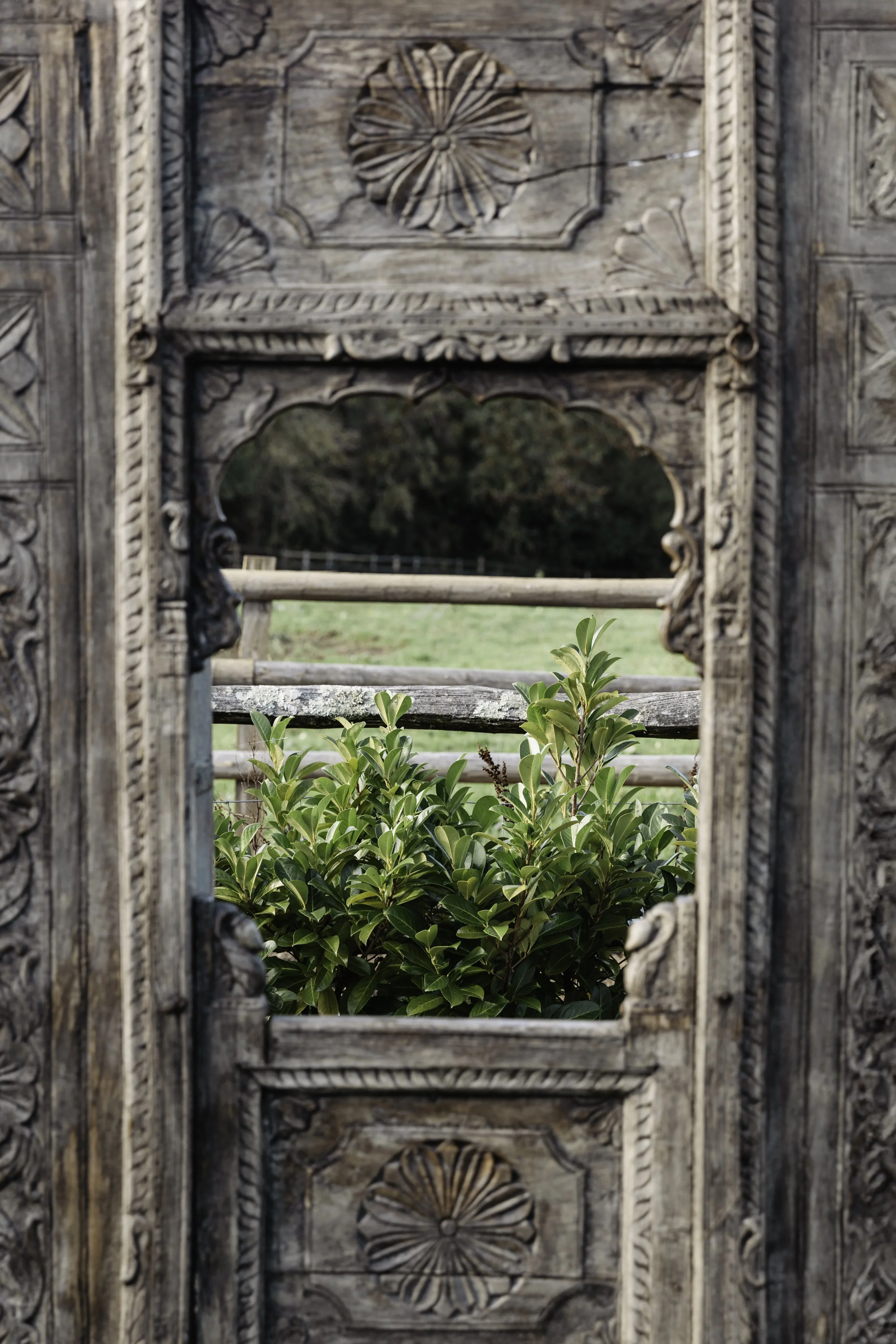 theviewbeyond-tyler-carr-ellasfield-retreat-cacao-cermony-26_highres.jpg