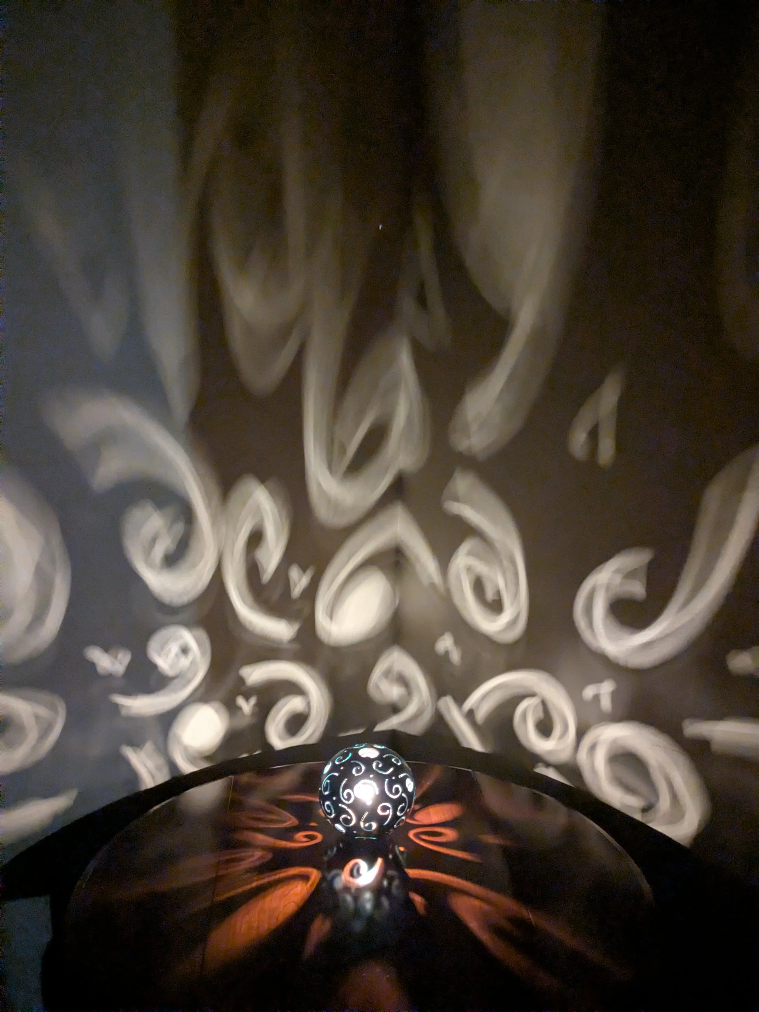 PXL_20251214_230728996.jpg