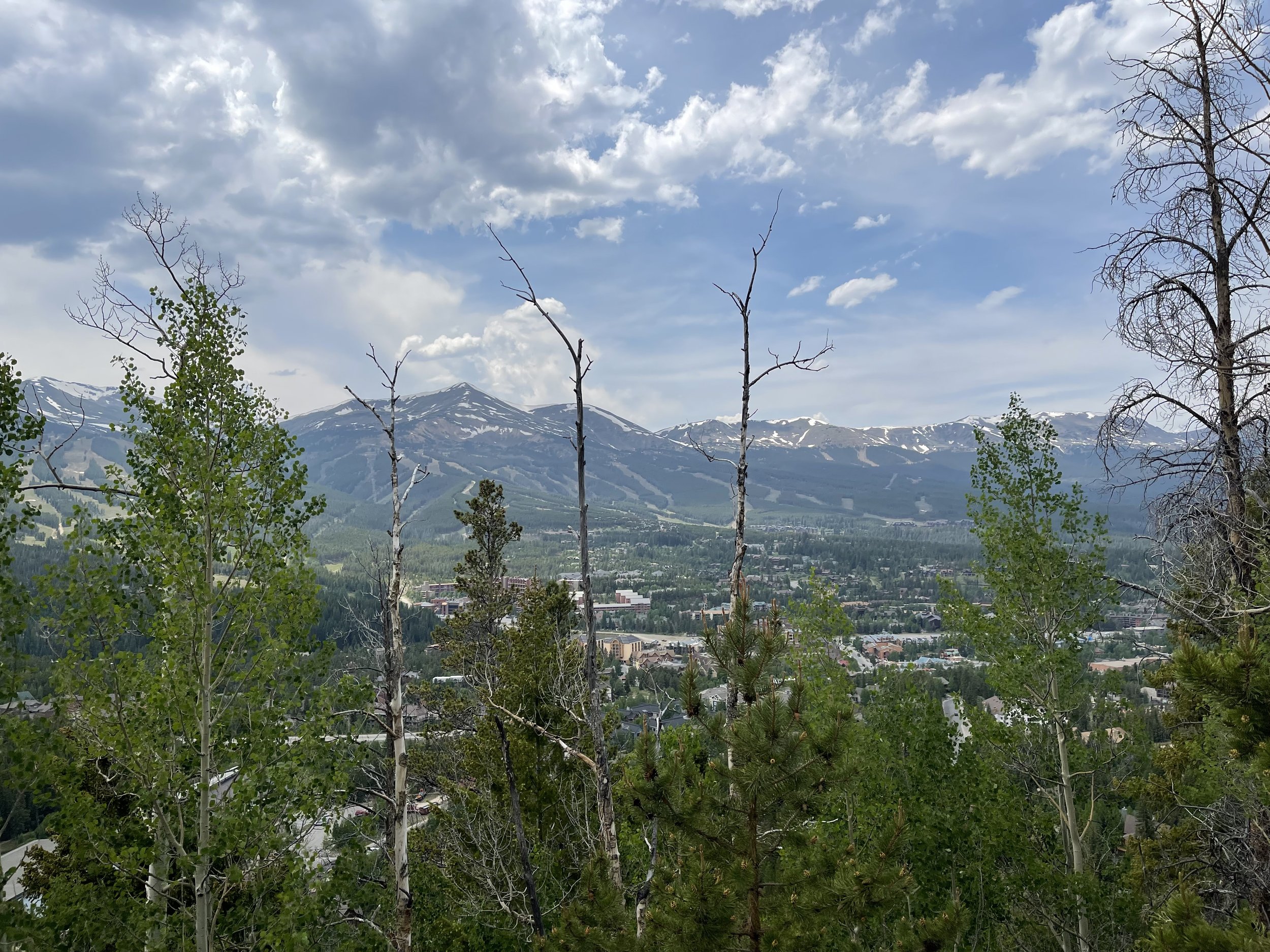 IMG_4182.jpeg