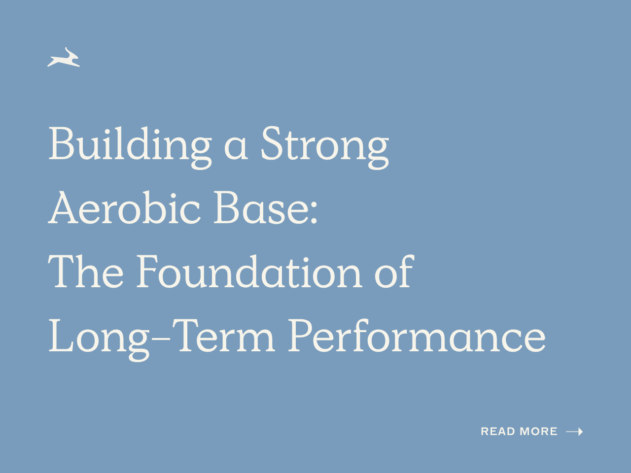 Building a Strong Aerobic Base: The Foundation of Long-Term Performance&nbsp;