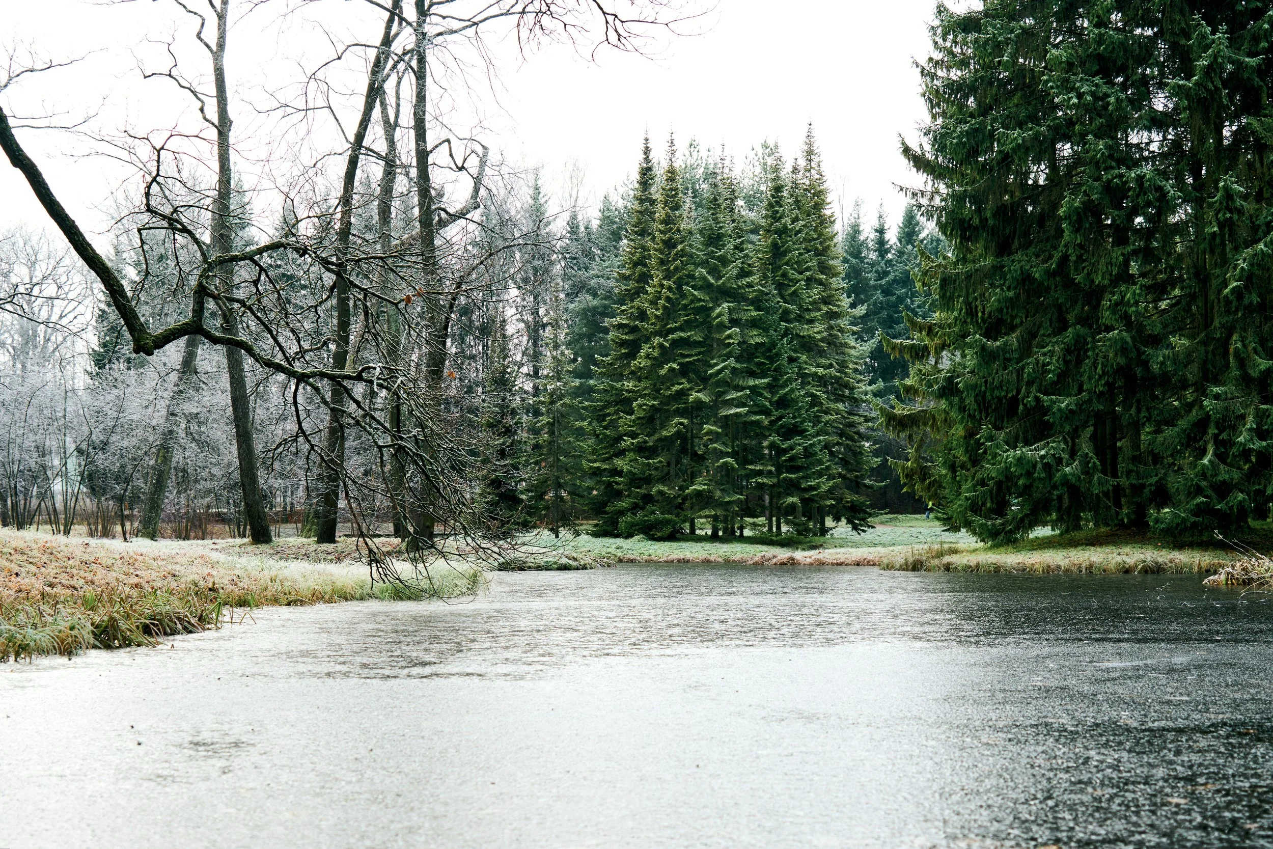 And the Creek Don’t Rise