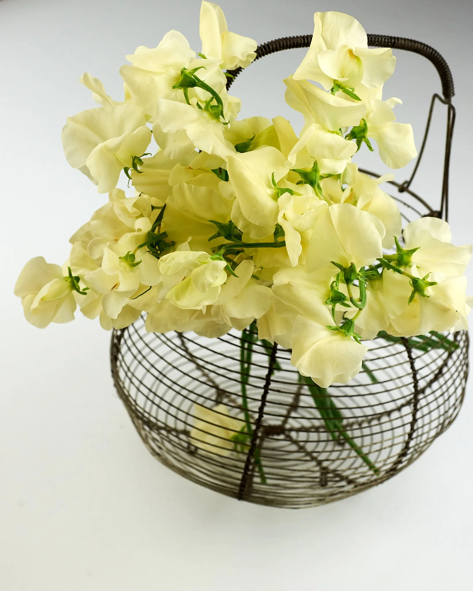 Egg Basket round 6.jpg