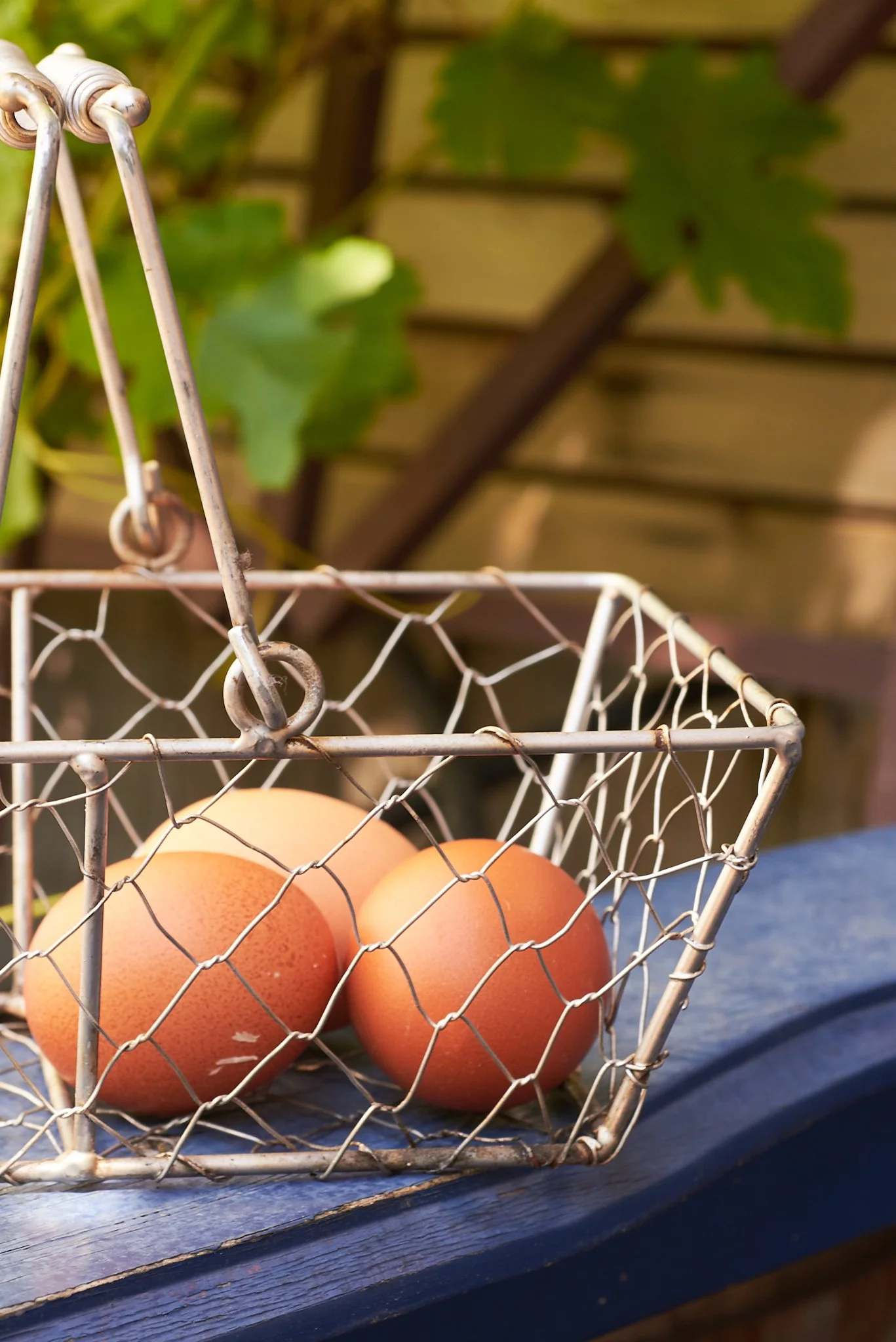 Rect Egg Basket 4.jpg