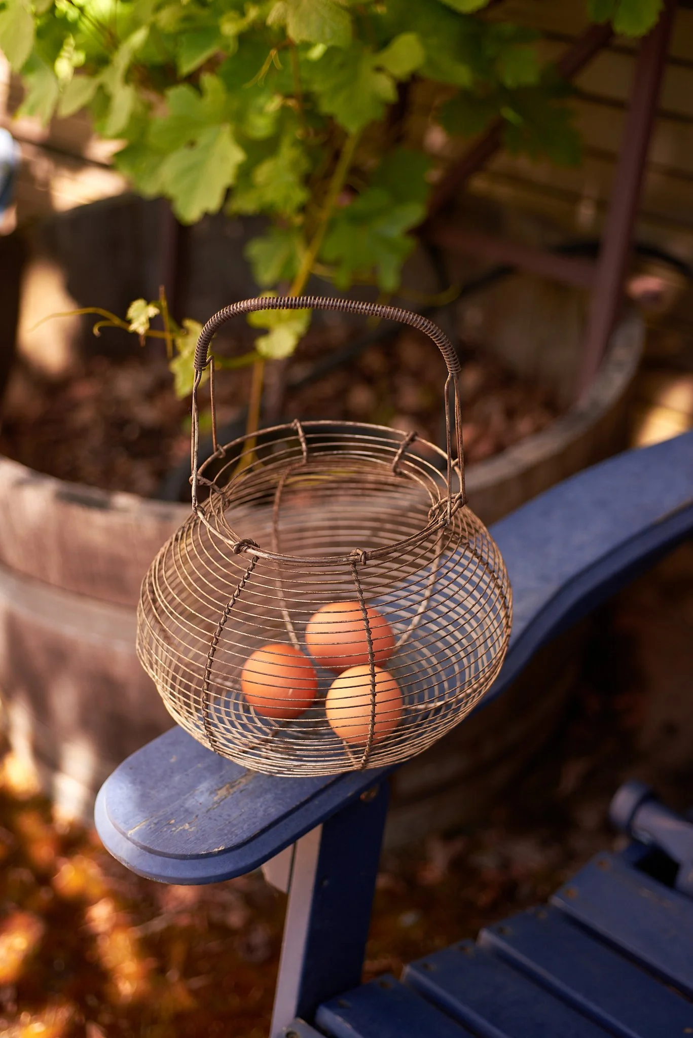 Egg Basket Blue Chair 1.jpg
